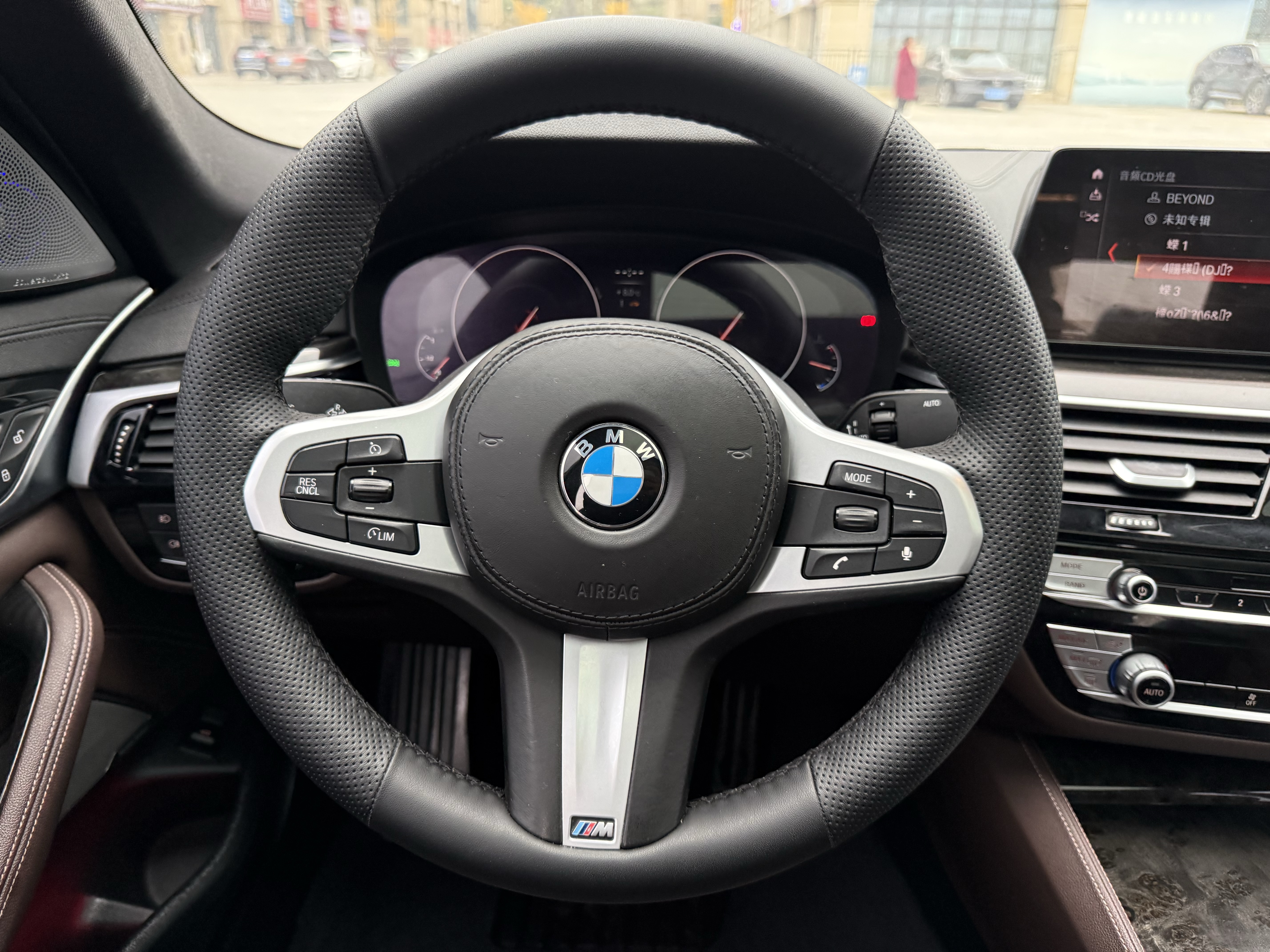 BMW 5 Series 2019 car image #19