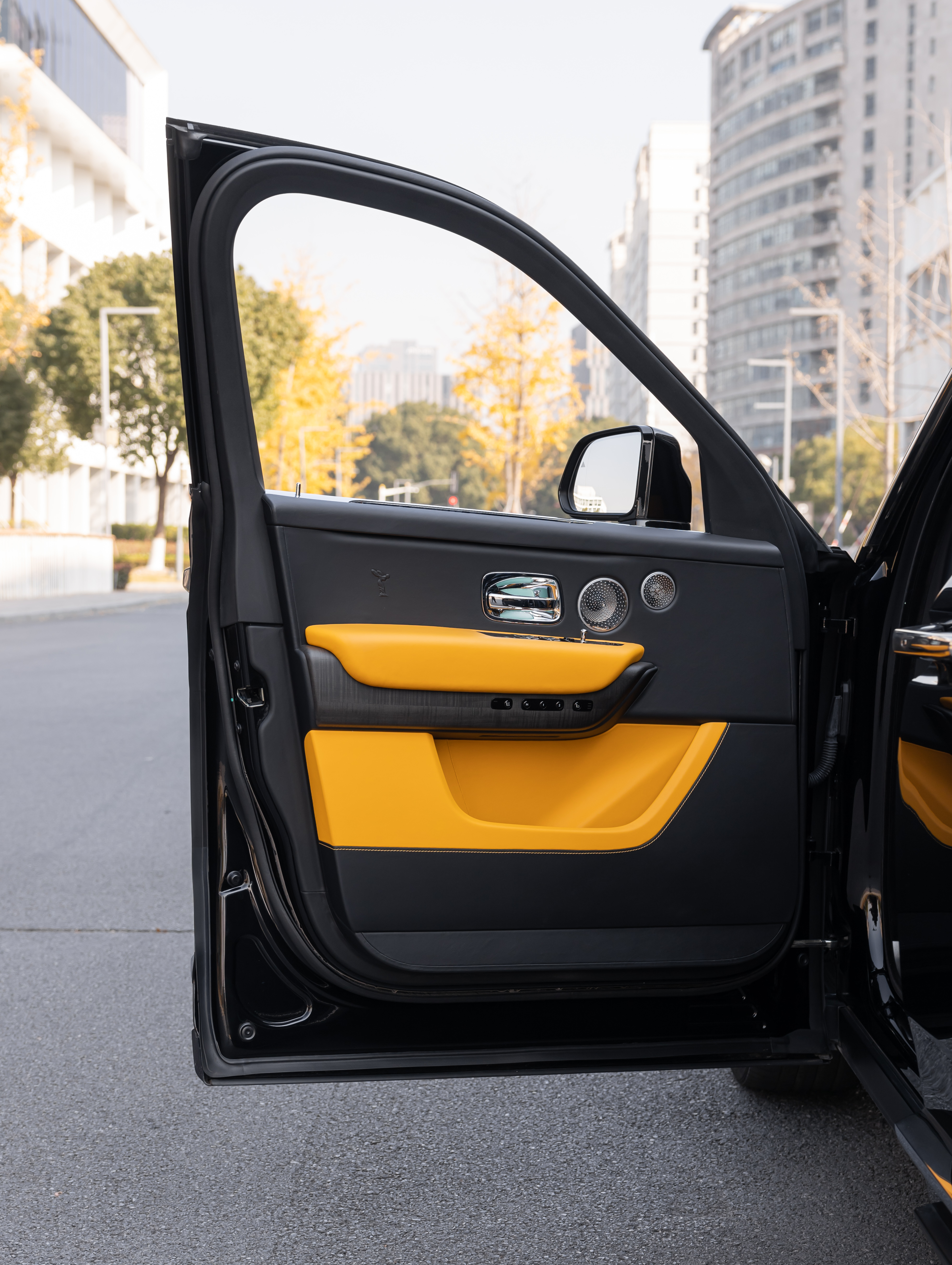 Volkswagen Cullinan 2022 car image #19