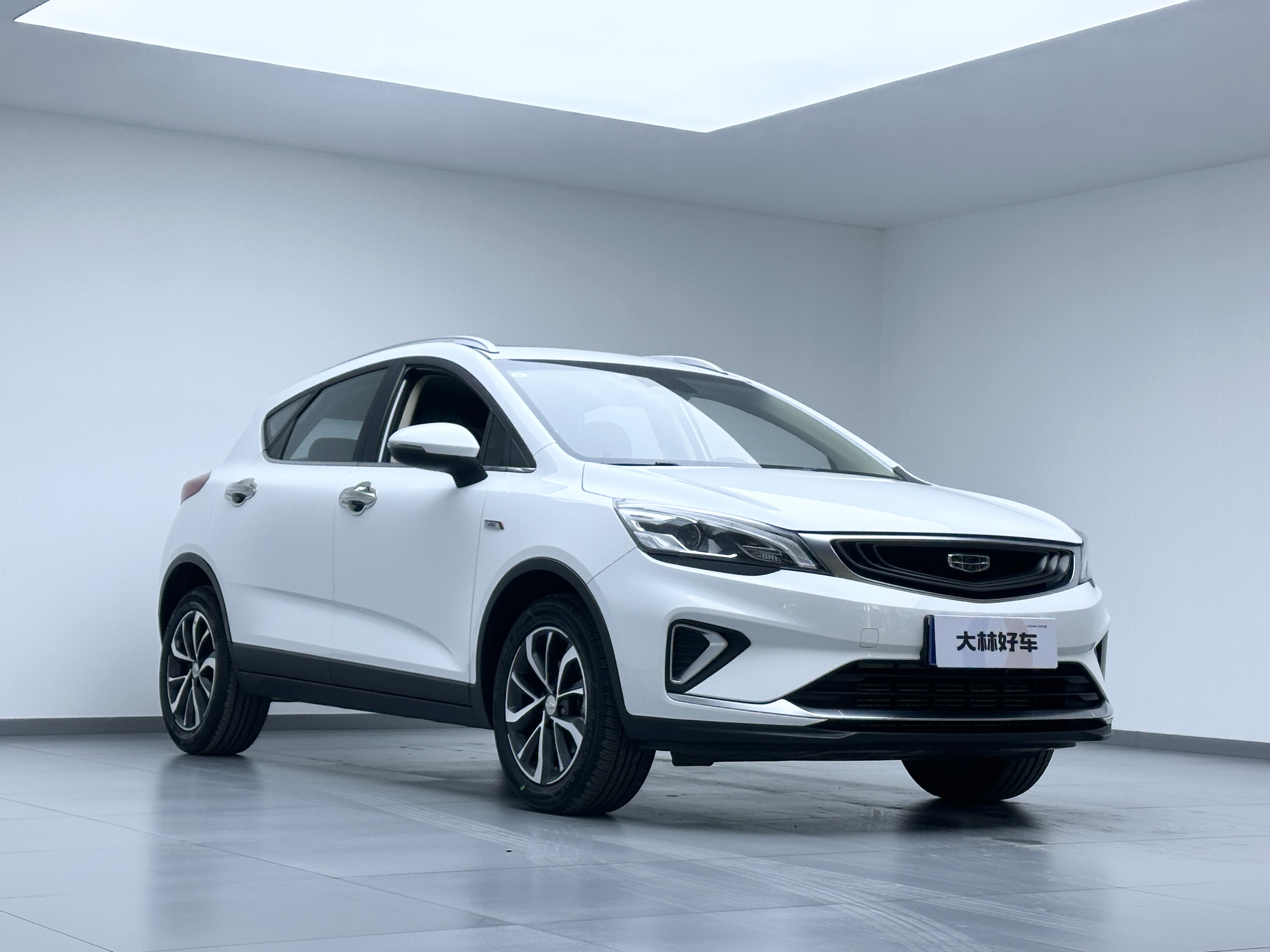 Emgrand GS 2019 #19 Emgrand GS 2019 car image #19