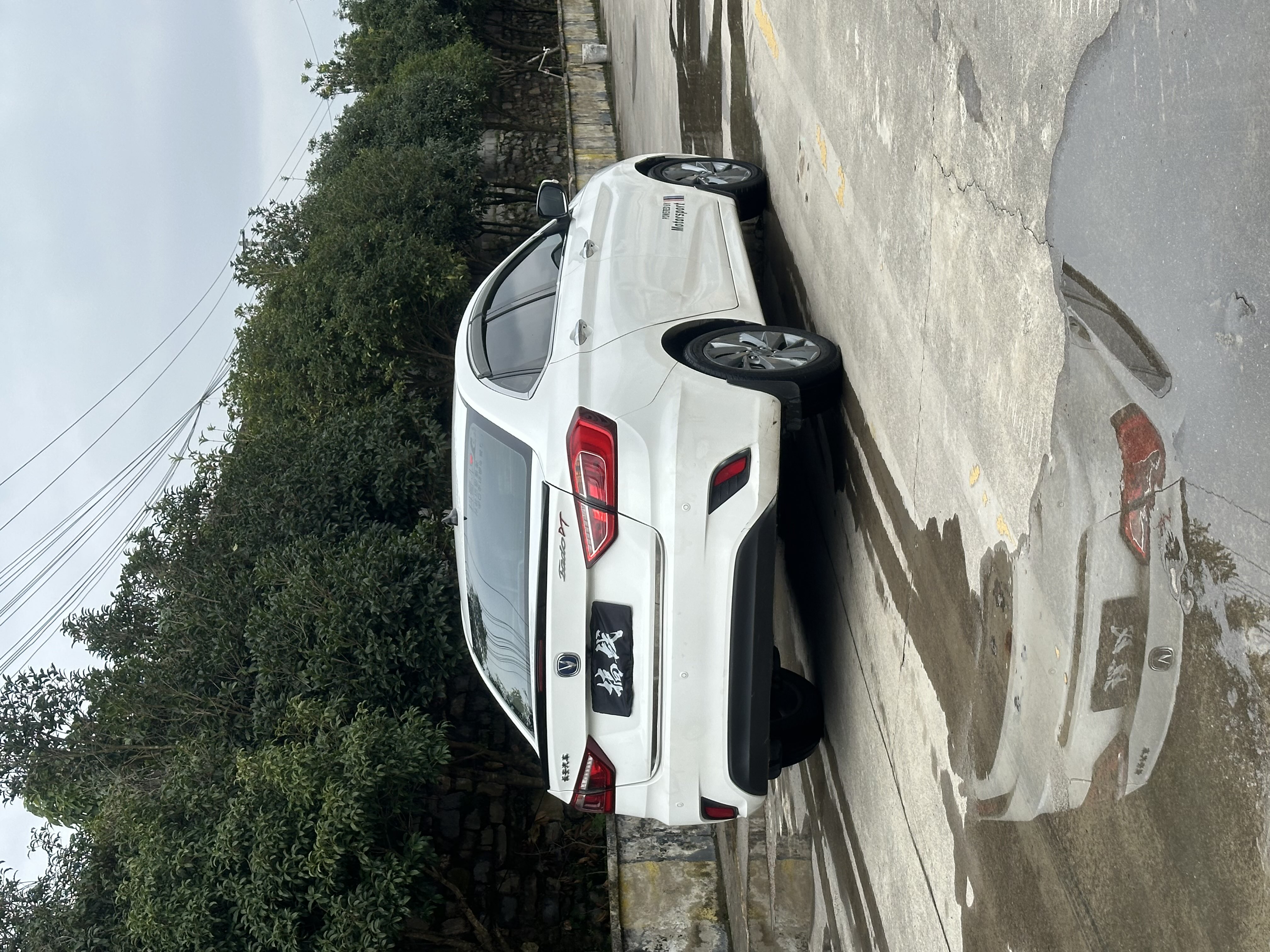 Changan Eado DT 2019 car image #19