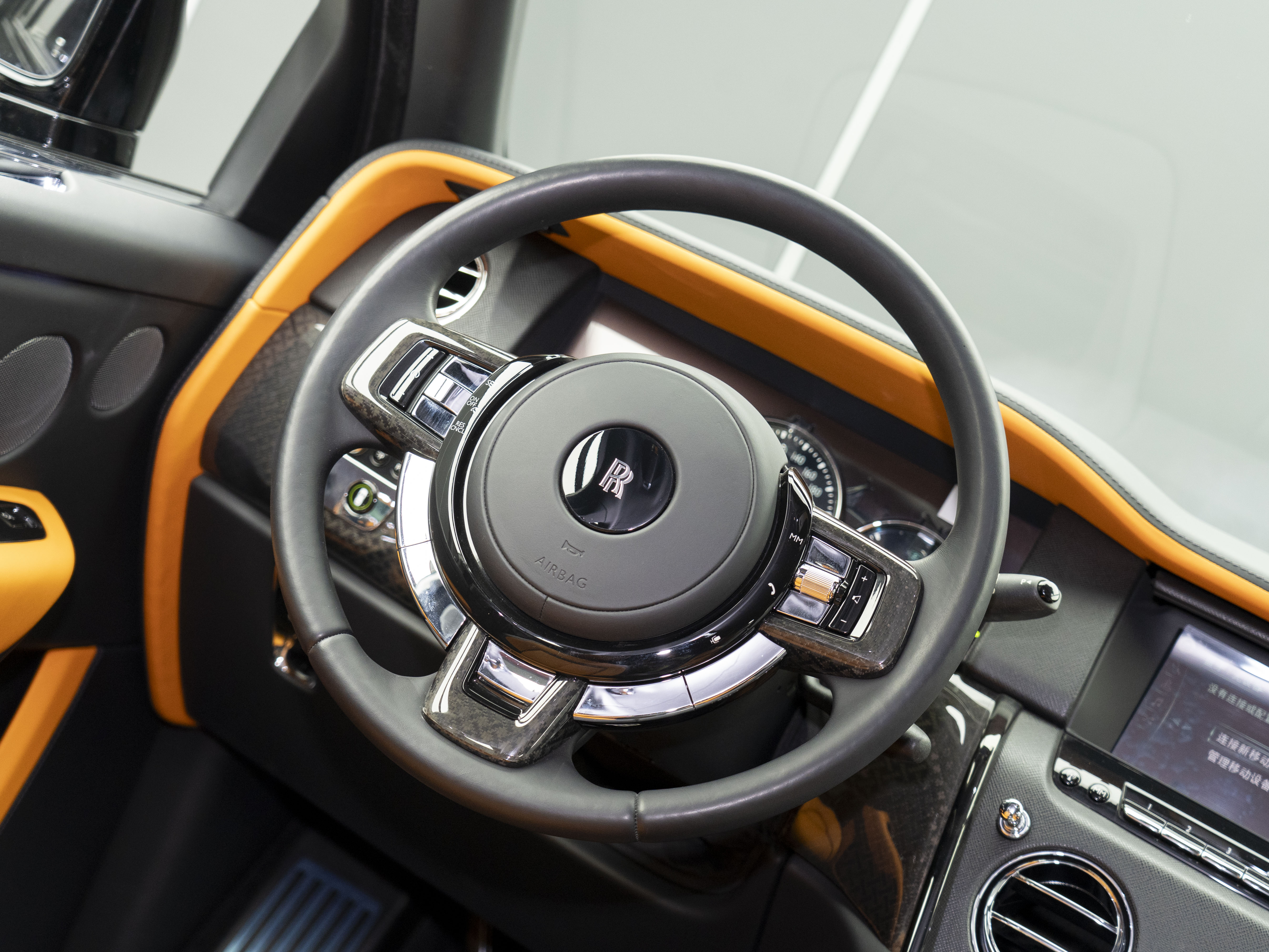 Rolls-Royce Cullinan 2022 immagine di auto #19