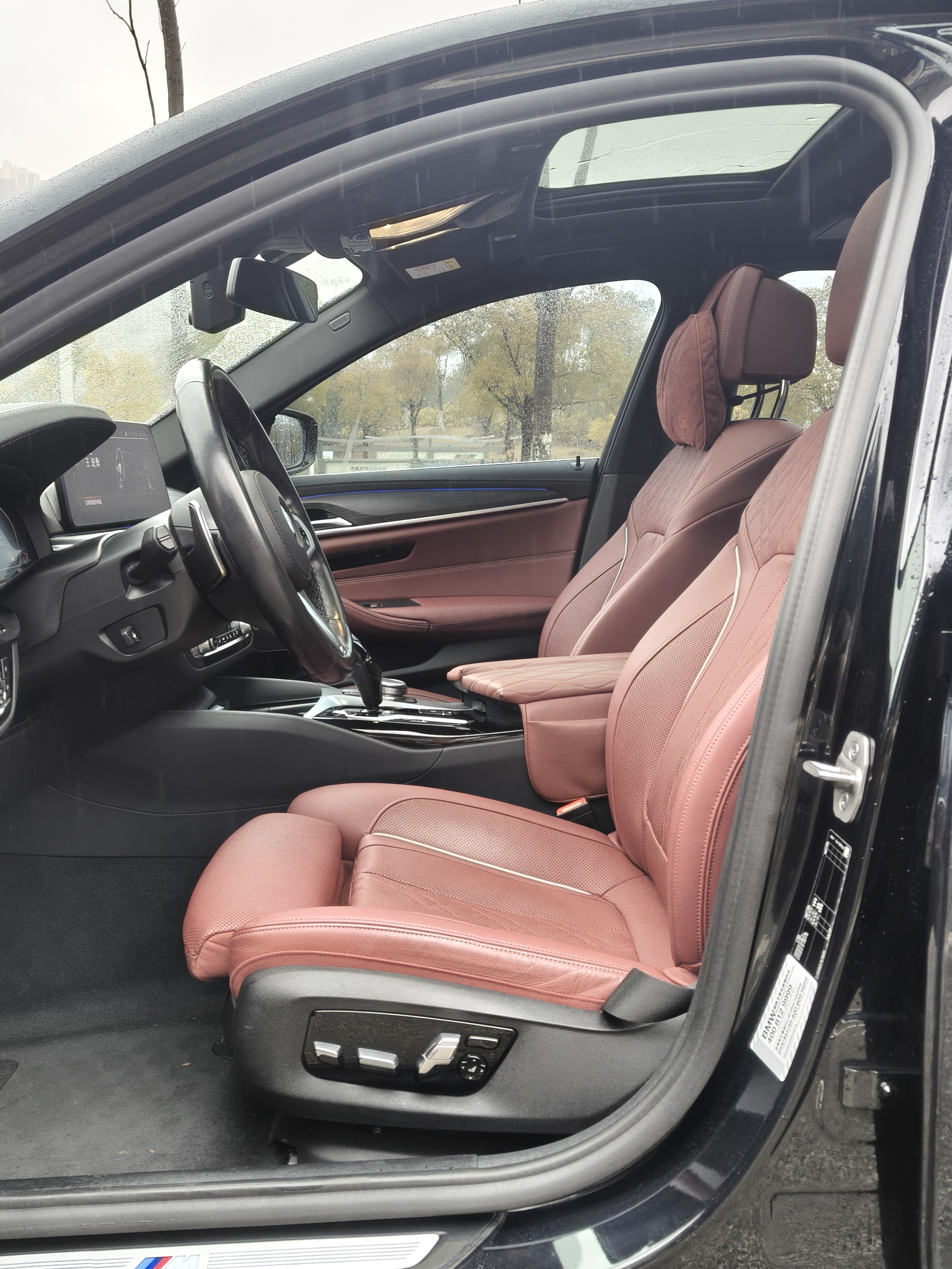 BMW 5 Series 2021 car image #19