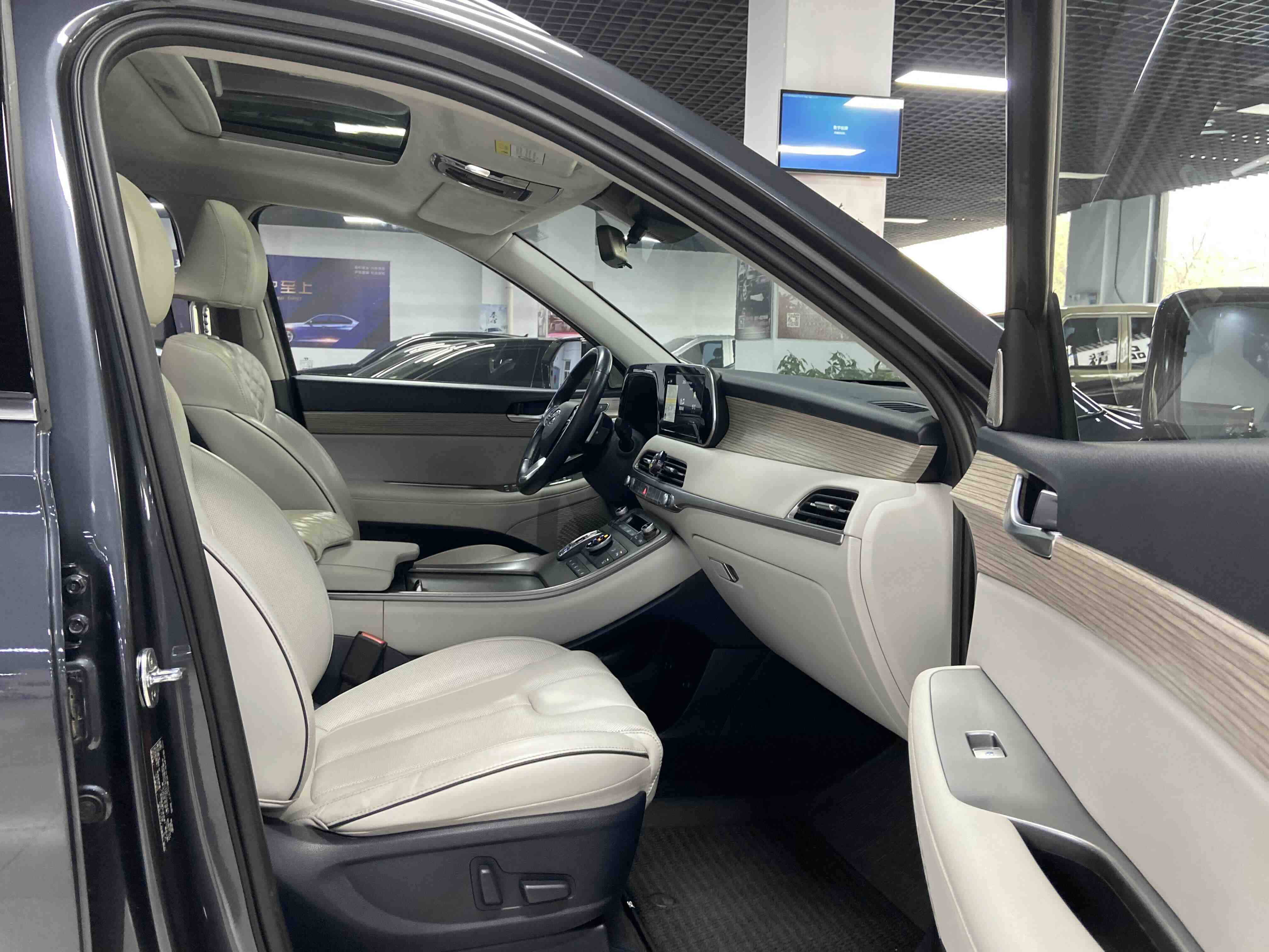 Hyundai Palisade 2022 car image #19