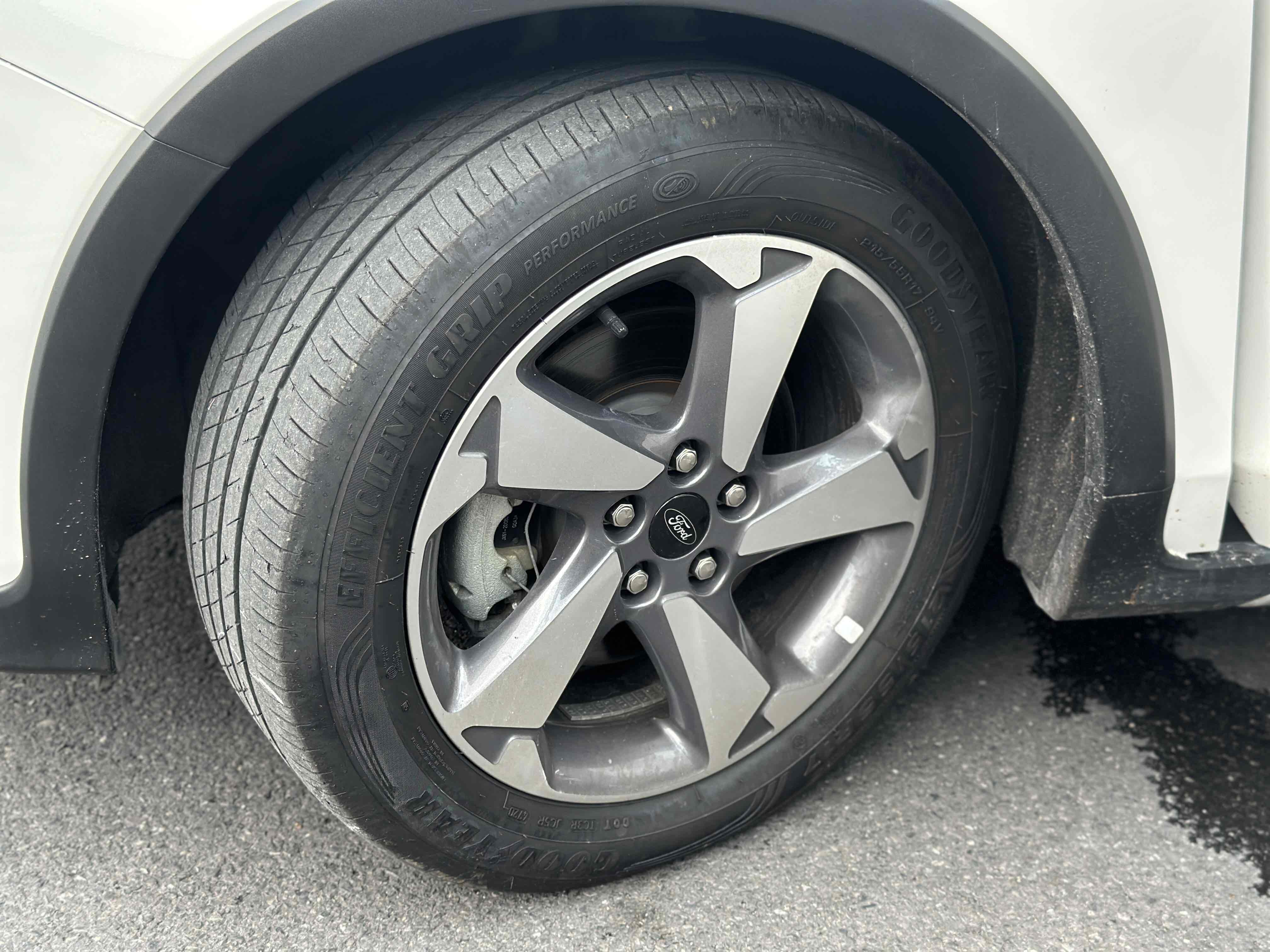 Ford Focus Active 2021 car image #19