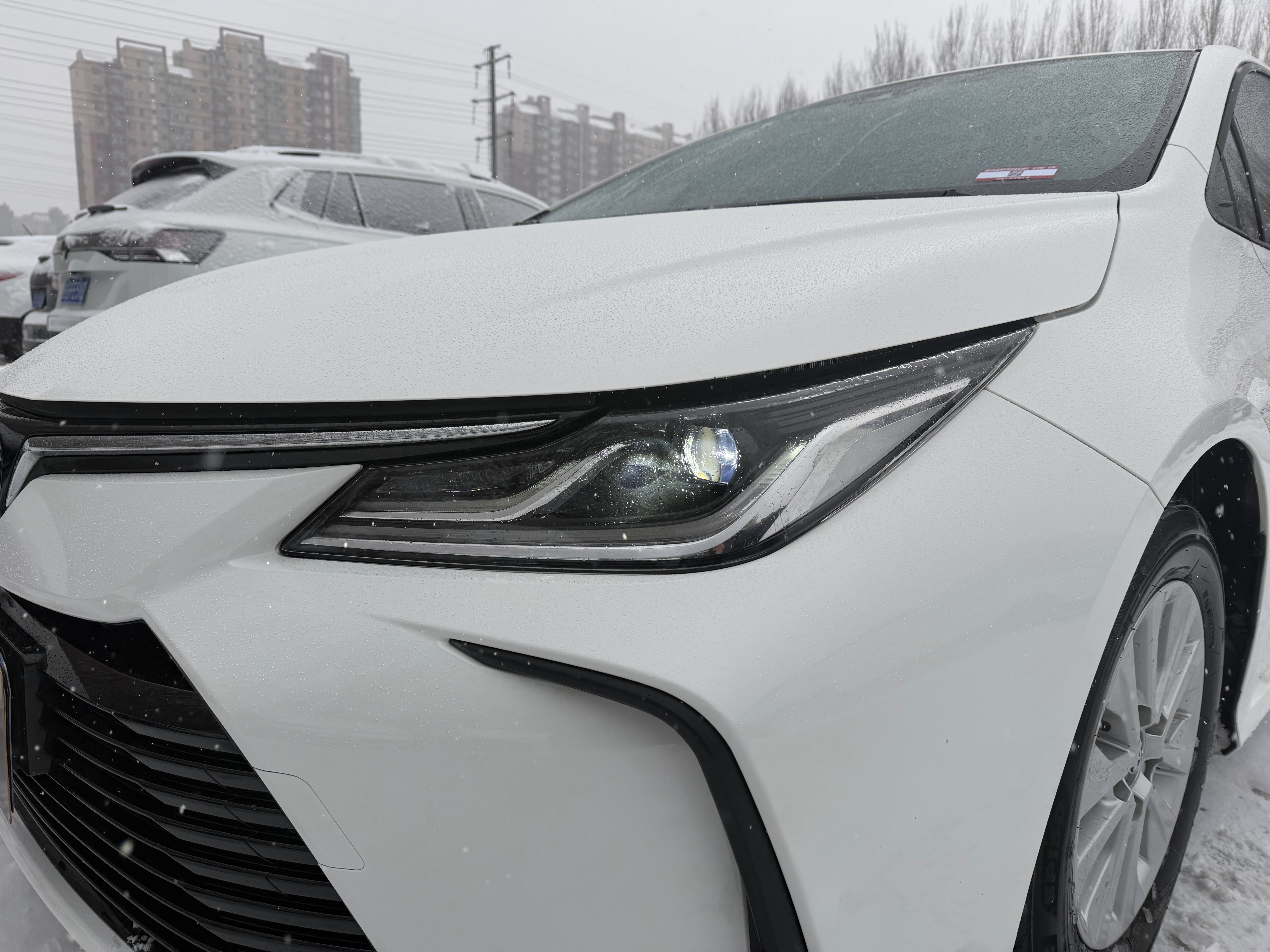 Toyota Corolla 2023 car image #19