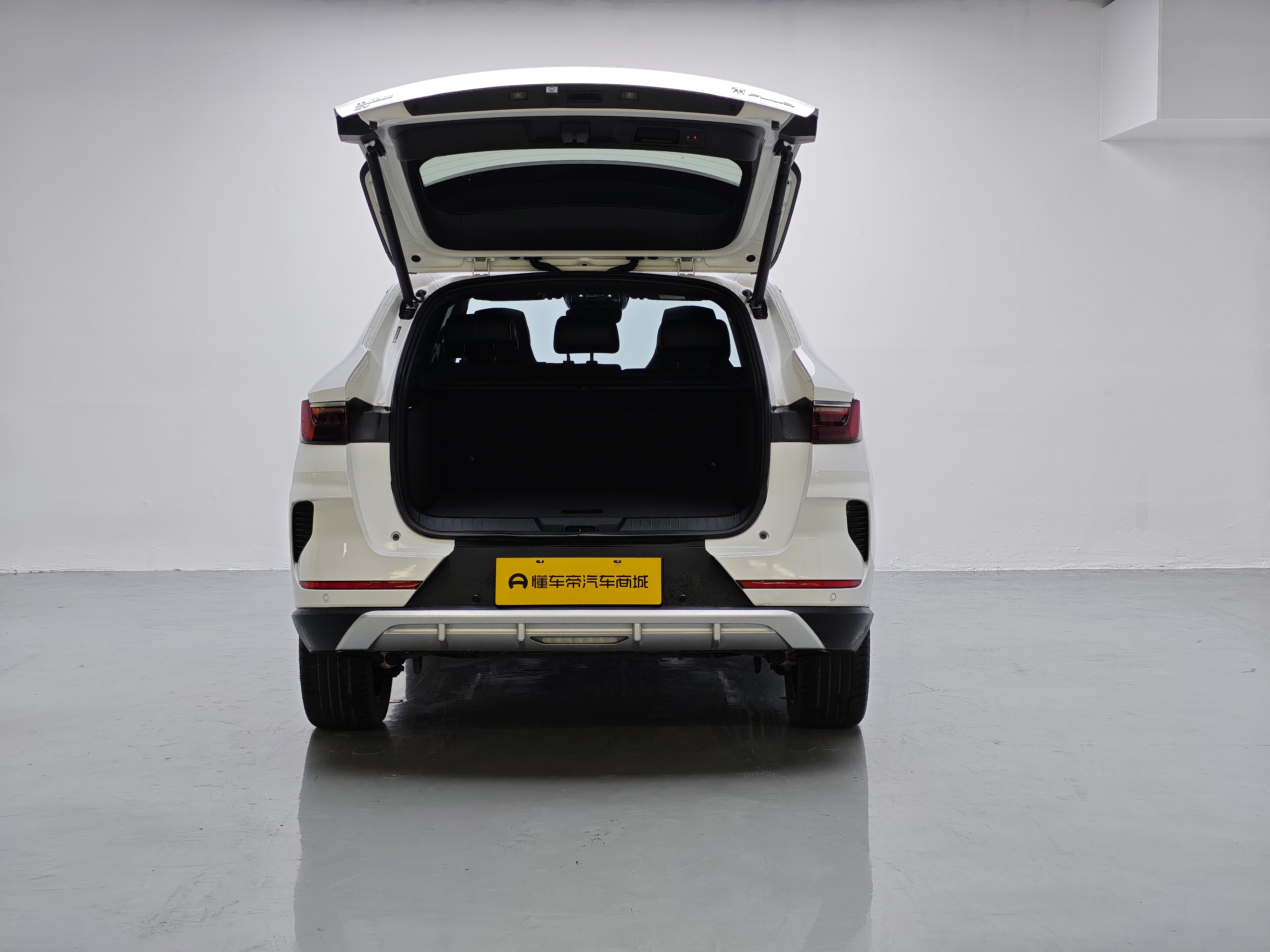 BYD Song Plus New Energy 2023 car image #19