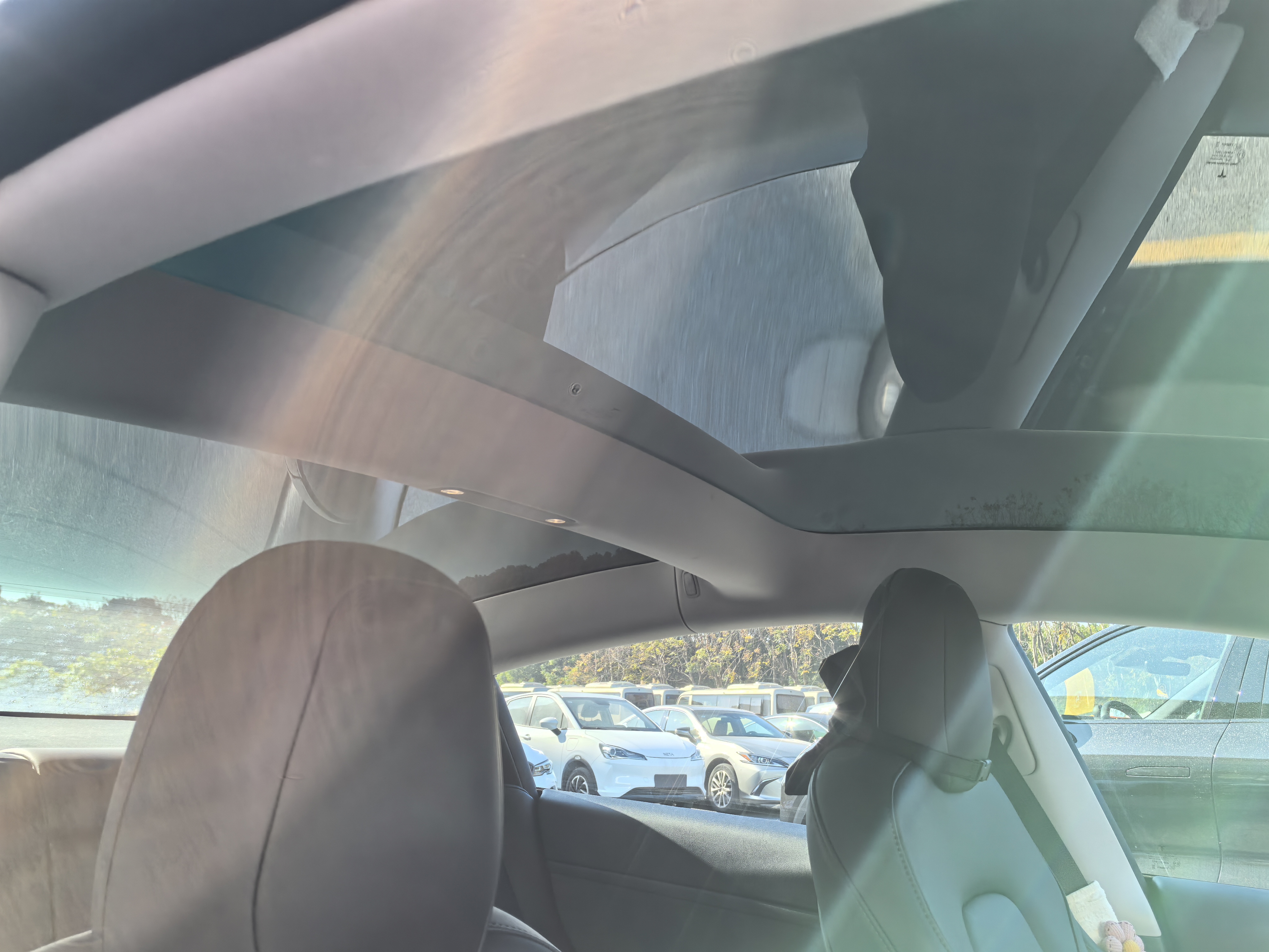 Tesla Model 3 2022 immagine di auto #19