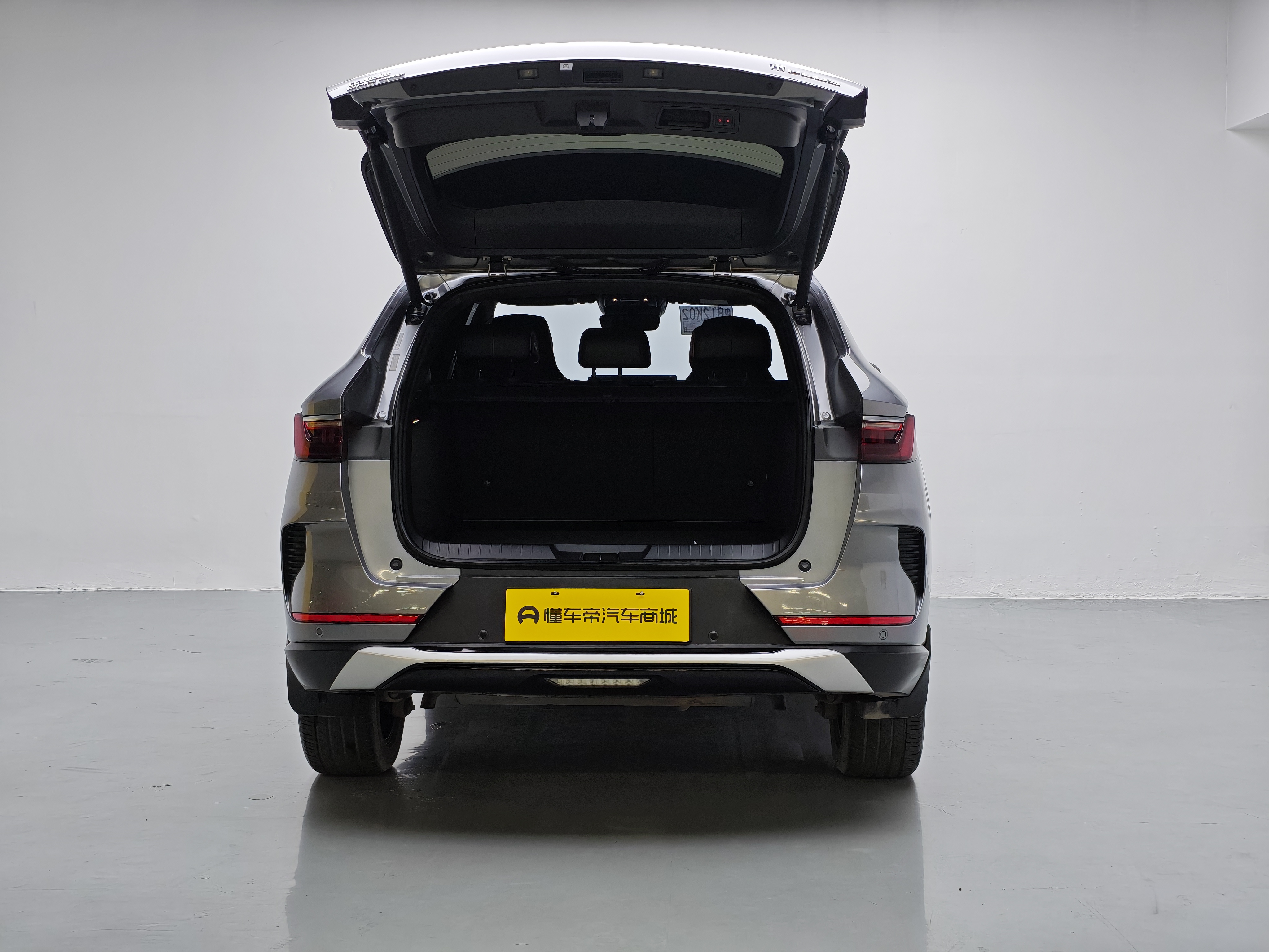 BYD Song Plus New Energy 2022 immagine di auto #19