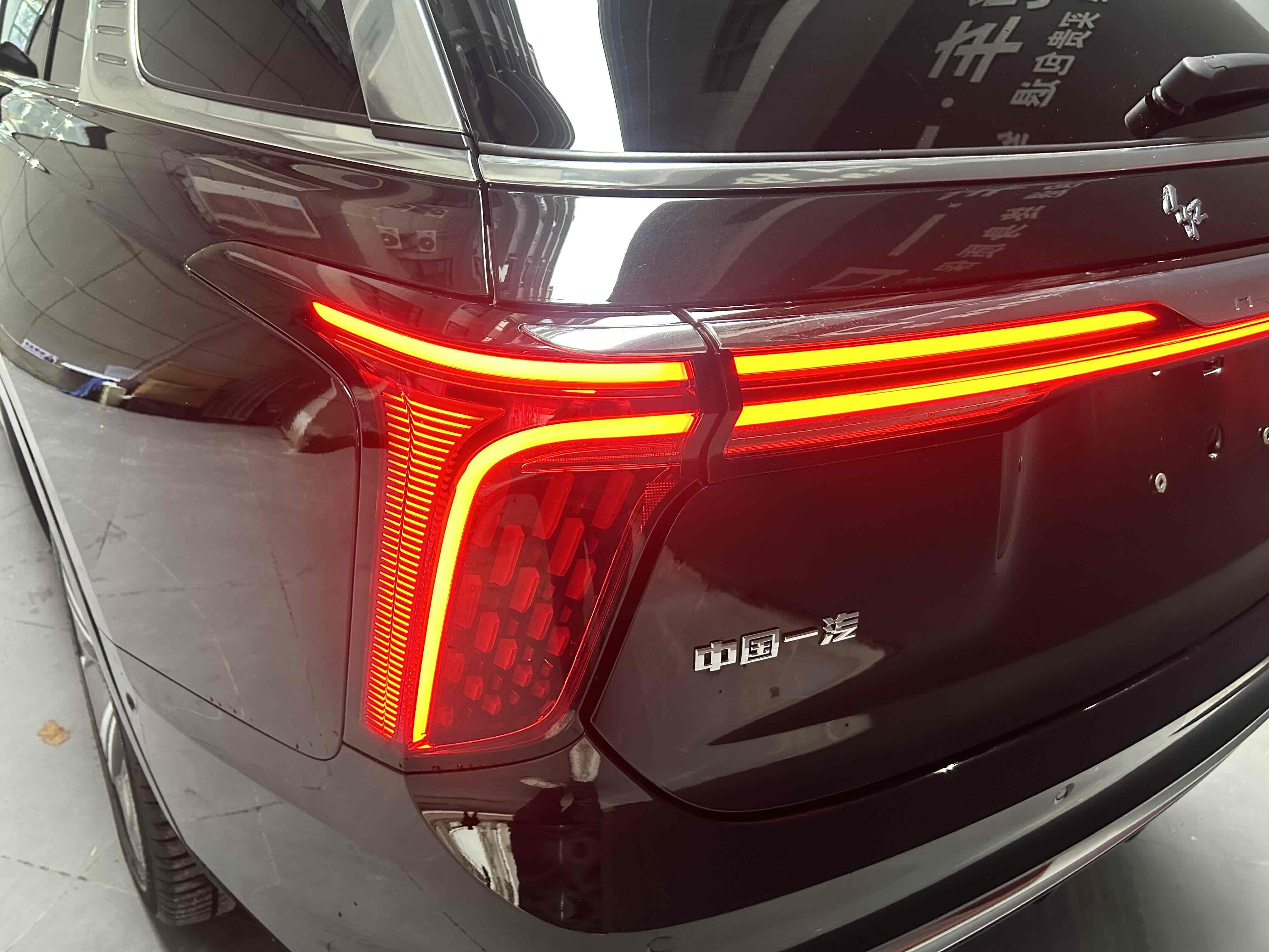 HongQi E-HS9 2022 immagine di auto #19