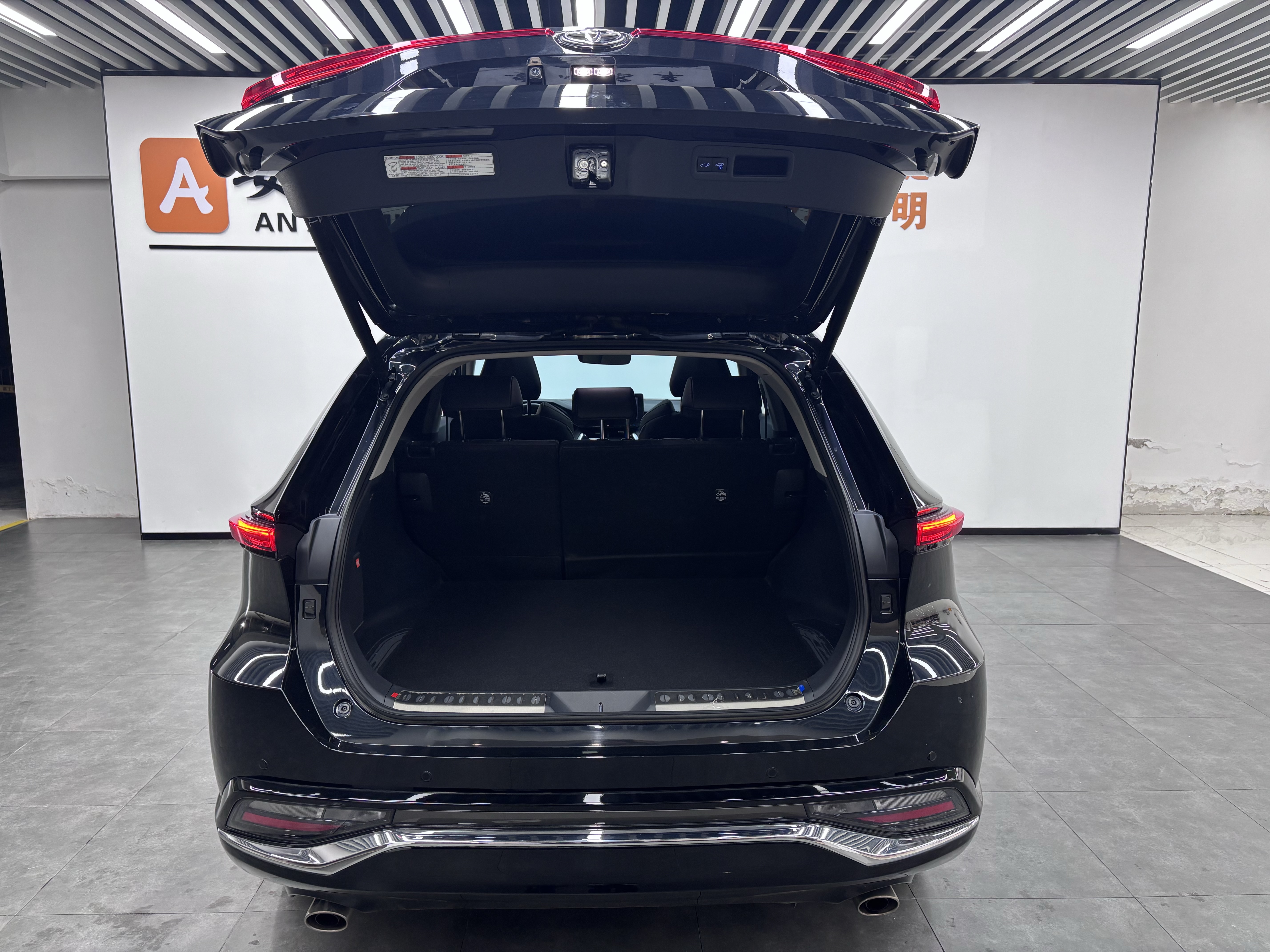 Toyota Venza 2023 car image #19