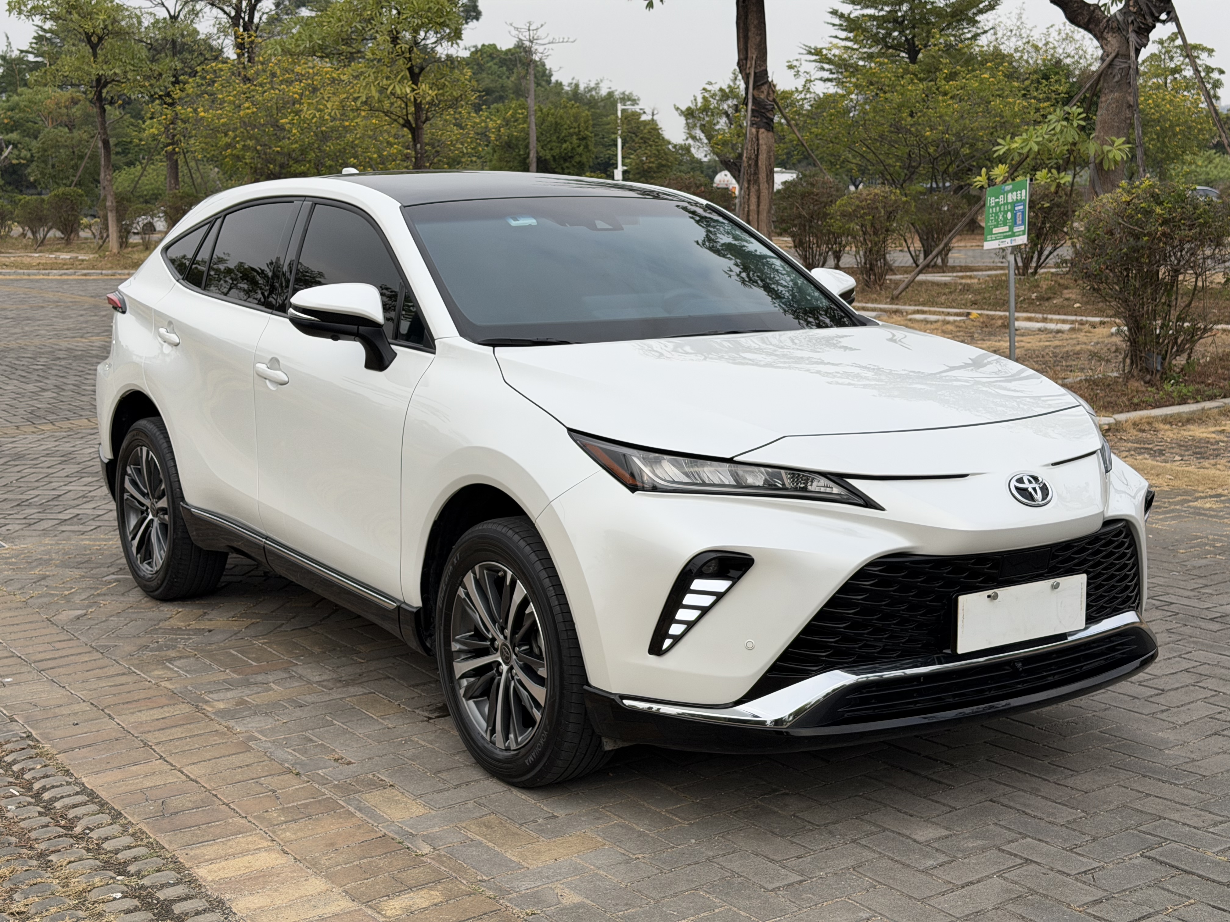 Toyota Venza 2023 immagine di auto #19