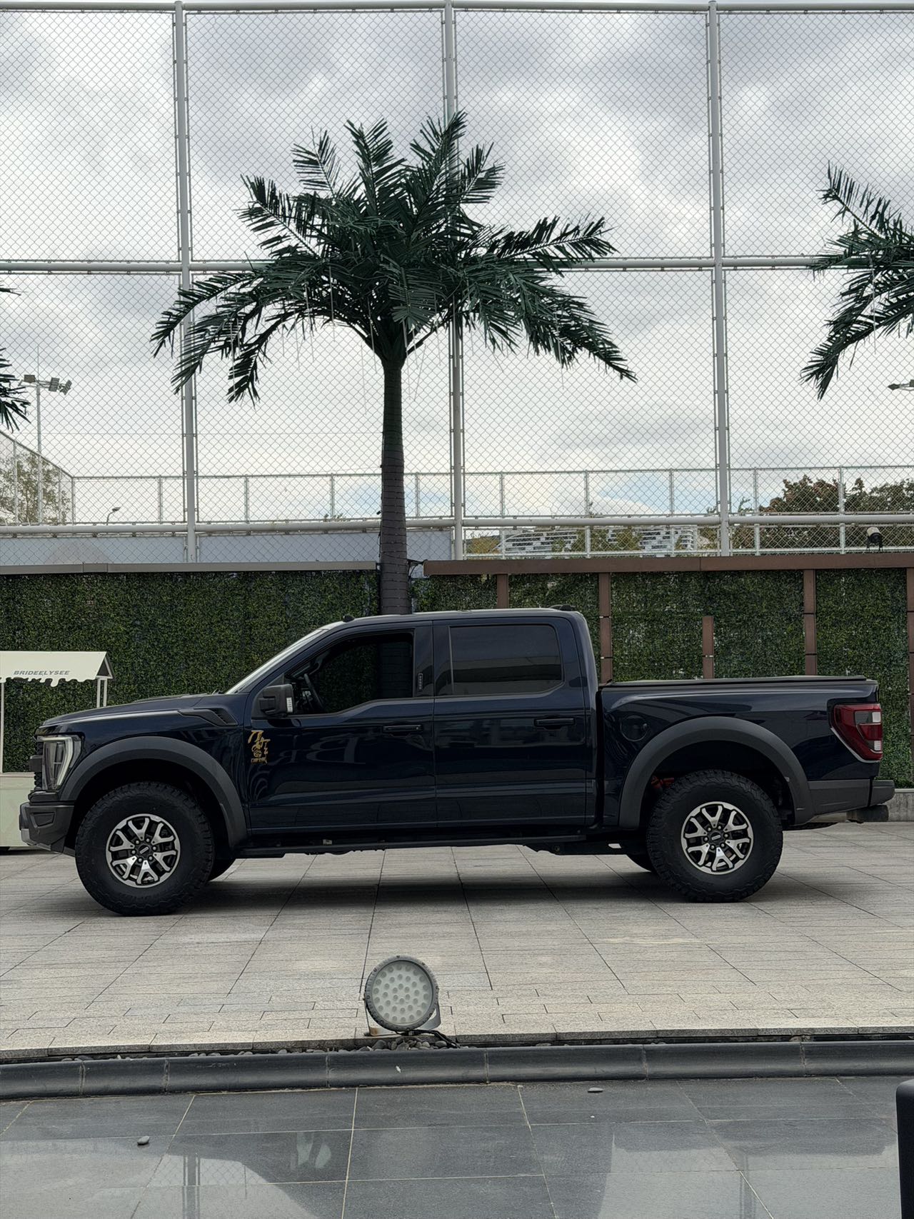 Ford F-150 Raptor 2023 car image #19