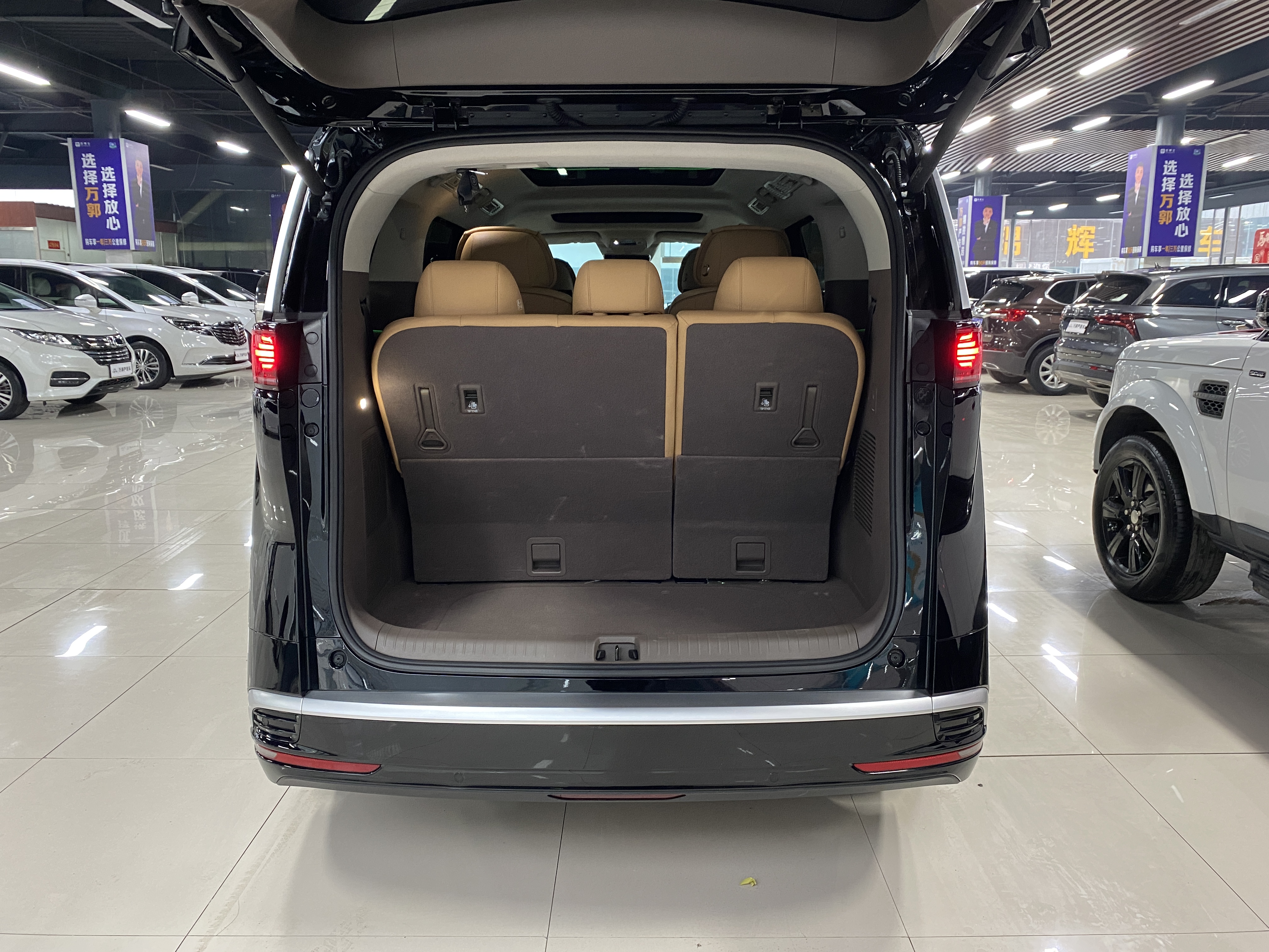 Denza D9 2023 изображение автомобиля #19