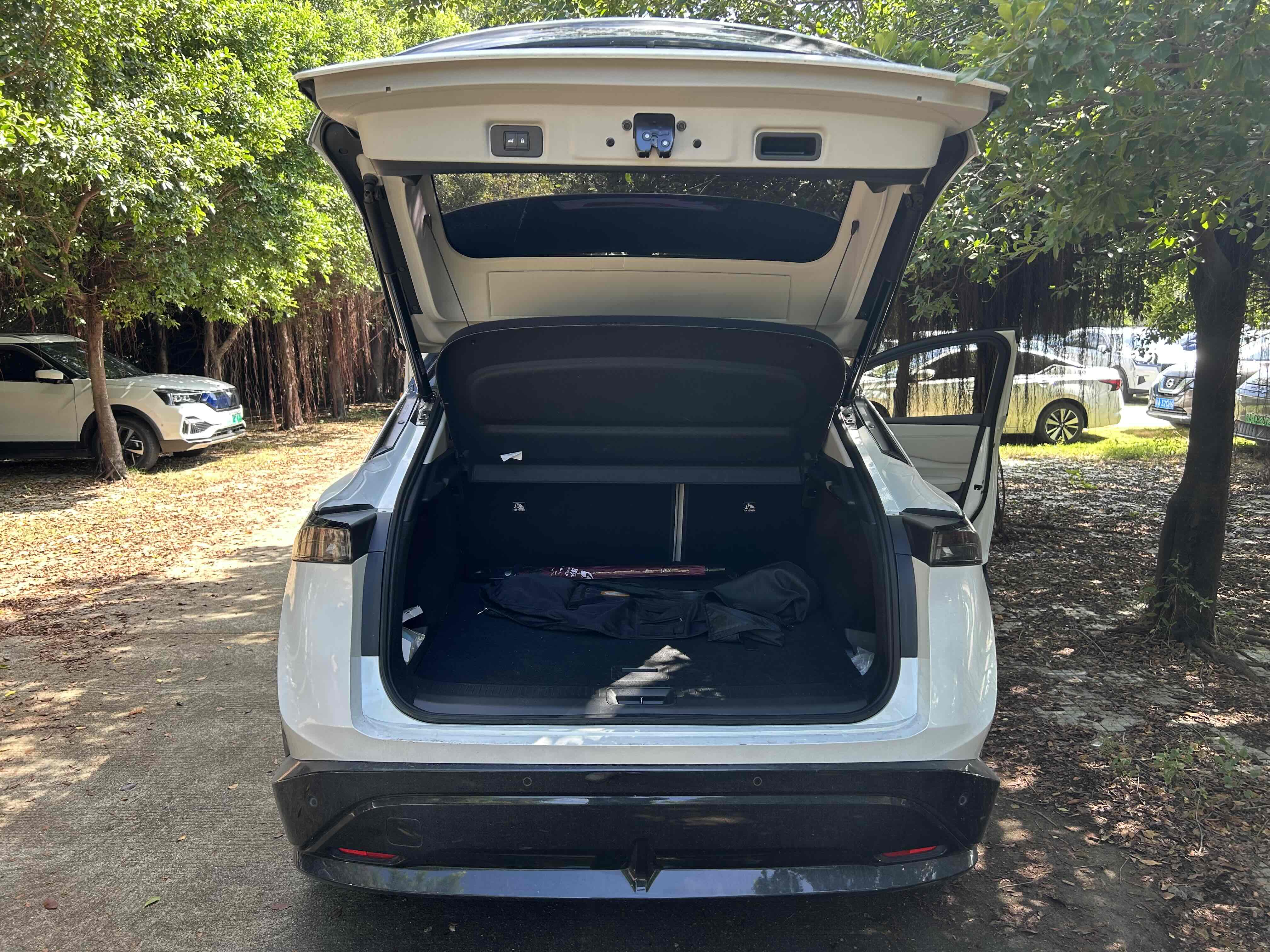 日产 ARIYA艾睿雅 2022 汽车图片 #19