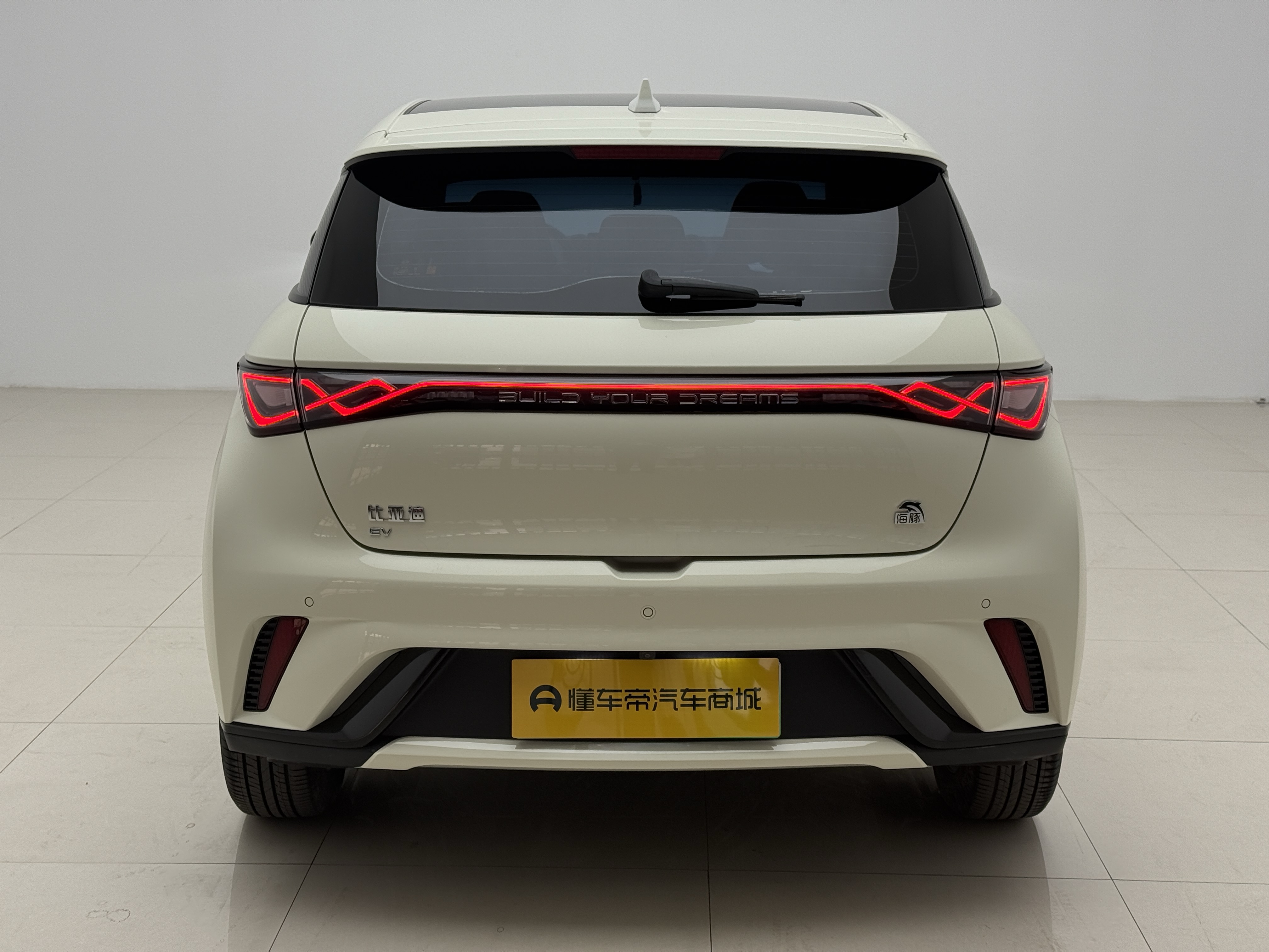 BYD Dolphin 2024 car image #19