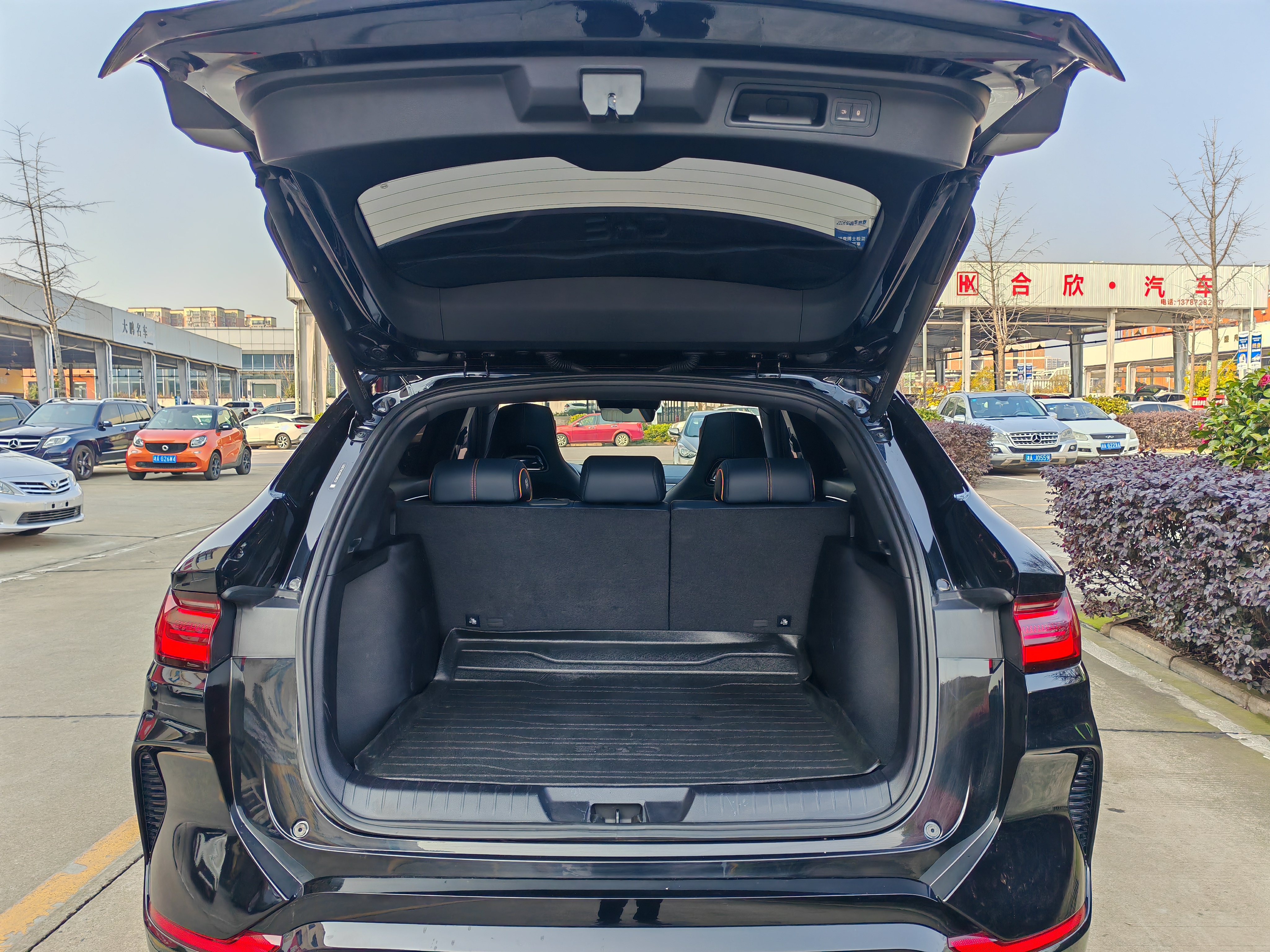 BYD Song Plus New Energy 2023 car image #19