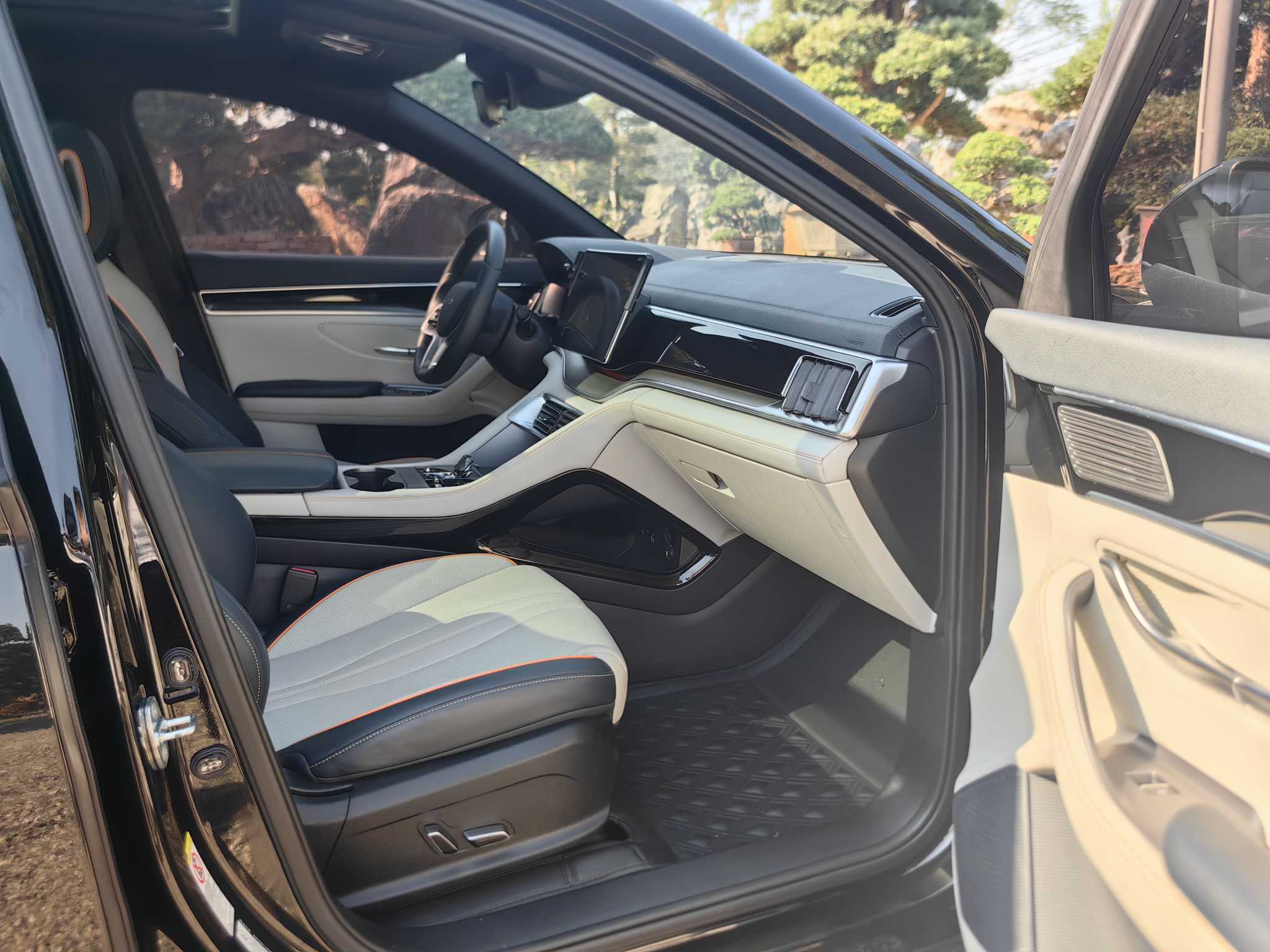 BYD Song Plus New Energy 2024 car image #19