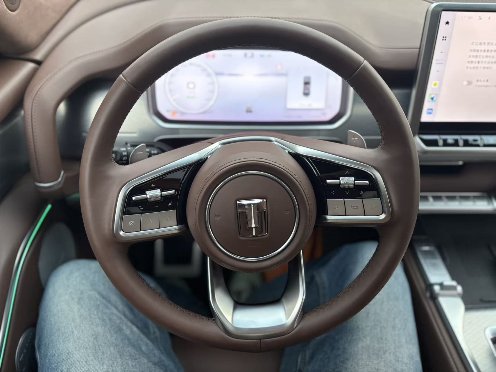 Tank 700 New Energy 2024 immagine di auto #19