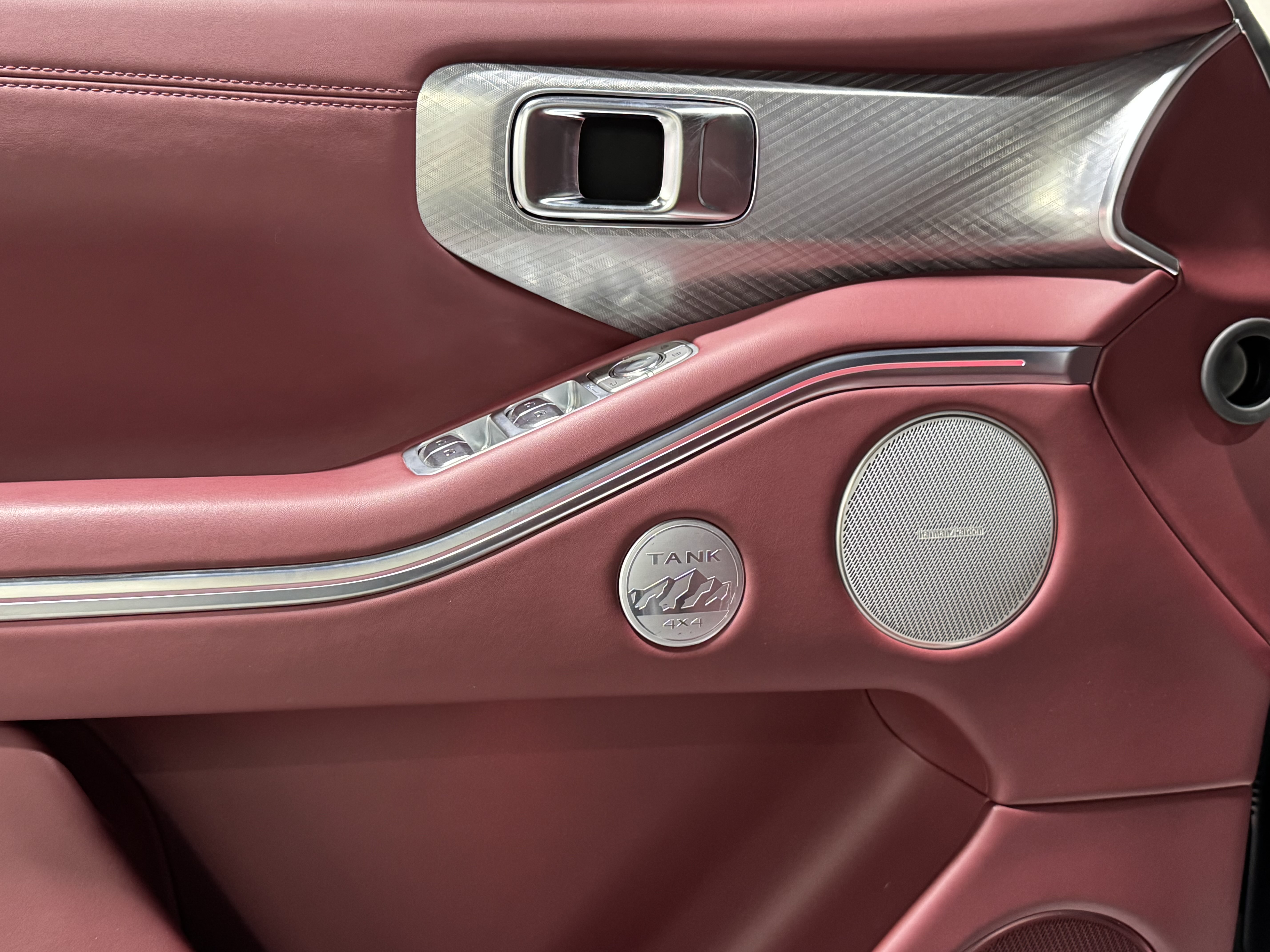 Tank 700 New Energy 2024 immagine di auto #19