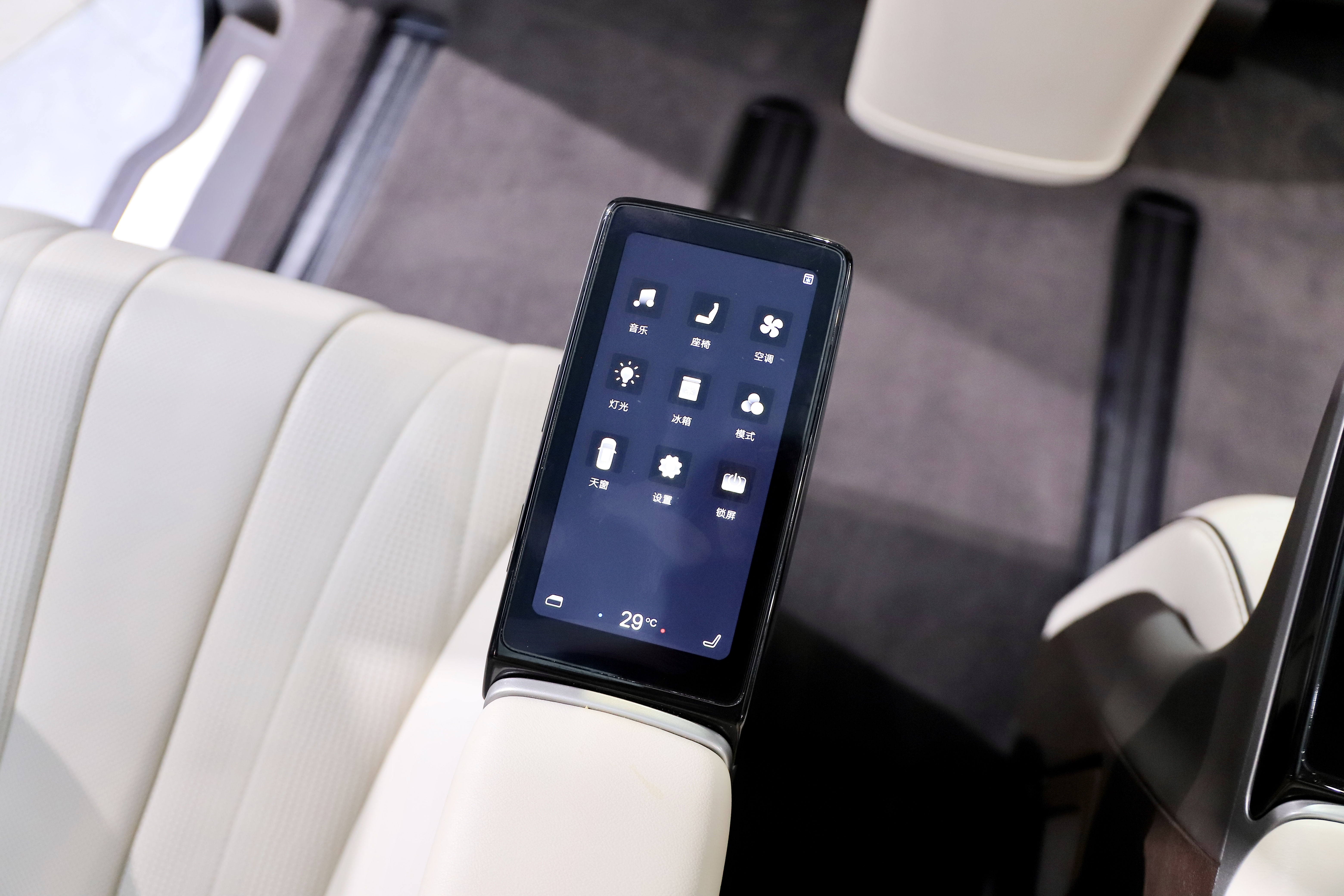 Denza D9 2024 immagine di auto #19