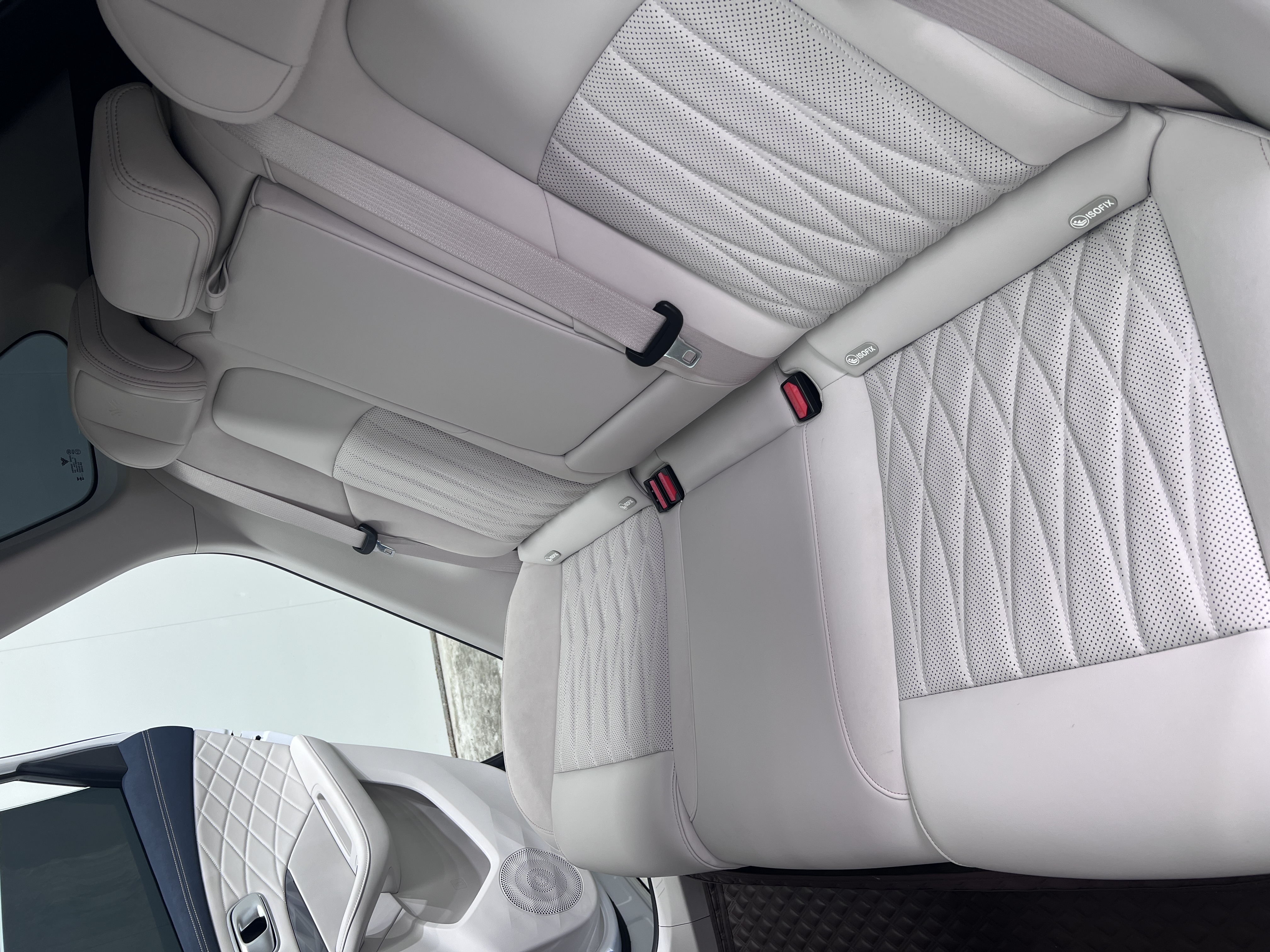 Neta L 2024 imagen de coche #19