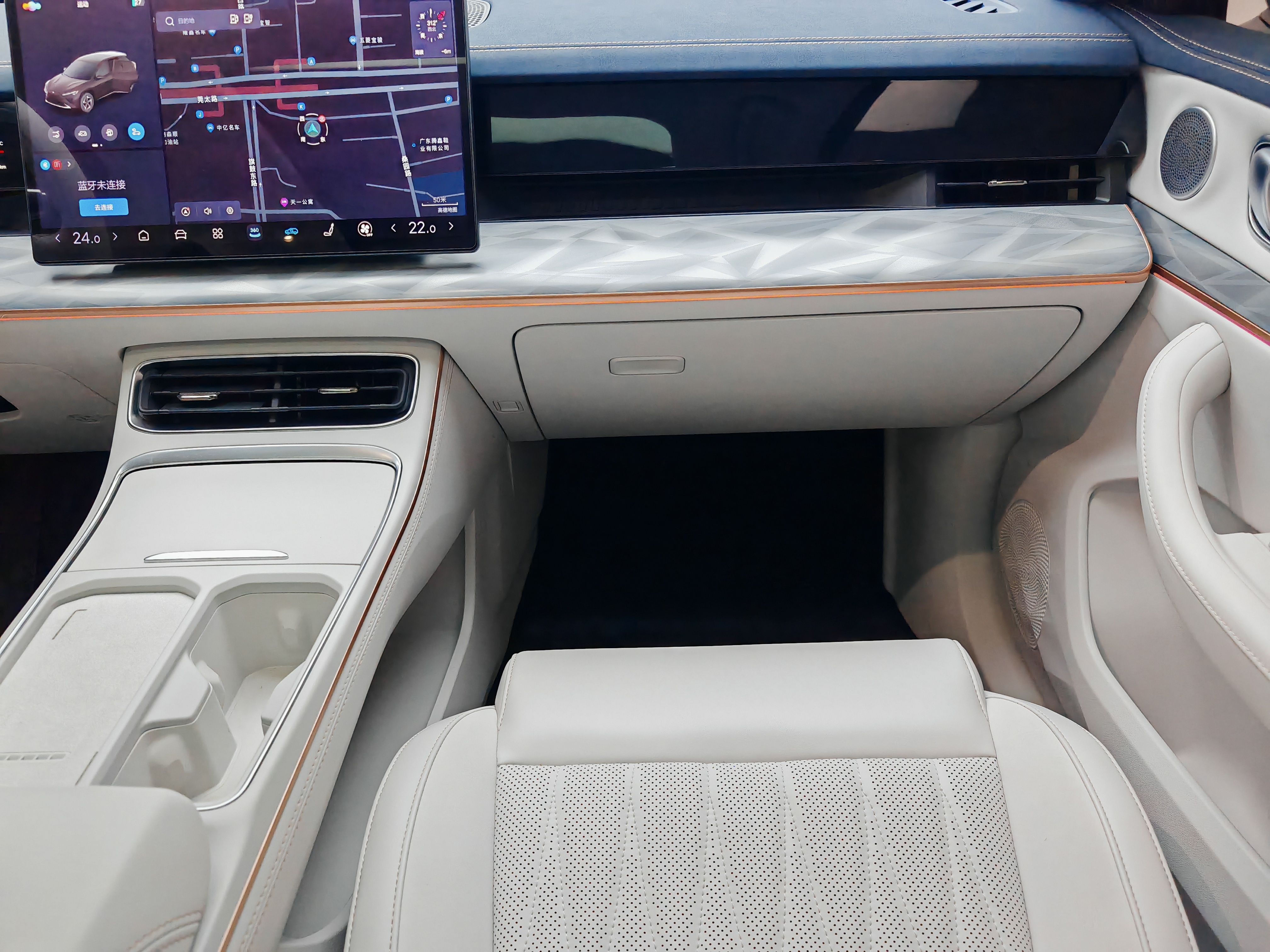 Neta L 2024 imagen de coche #19