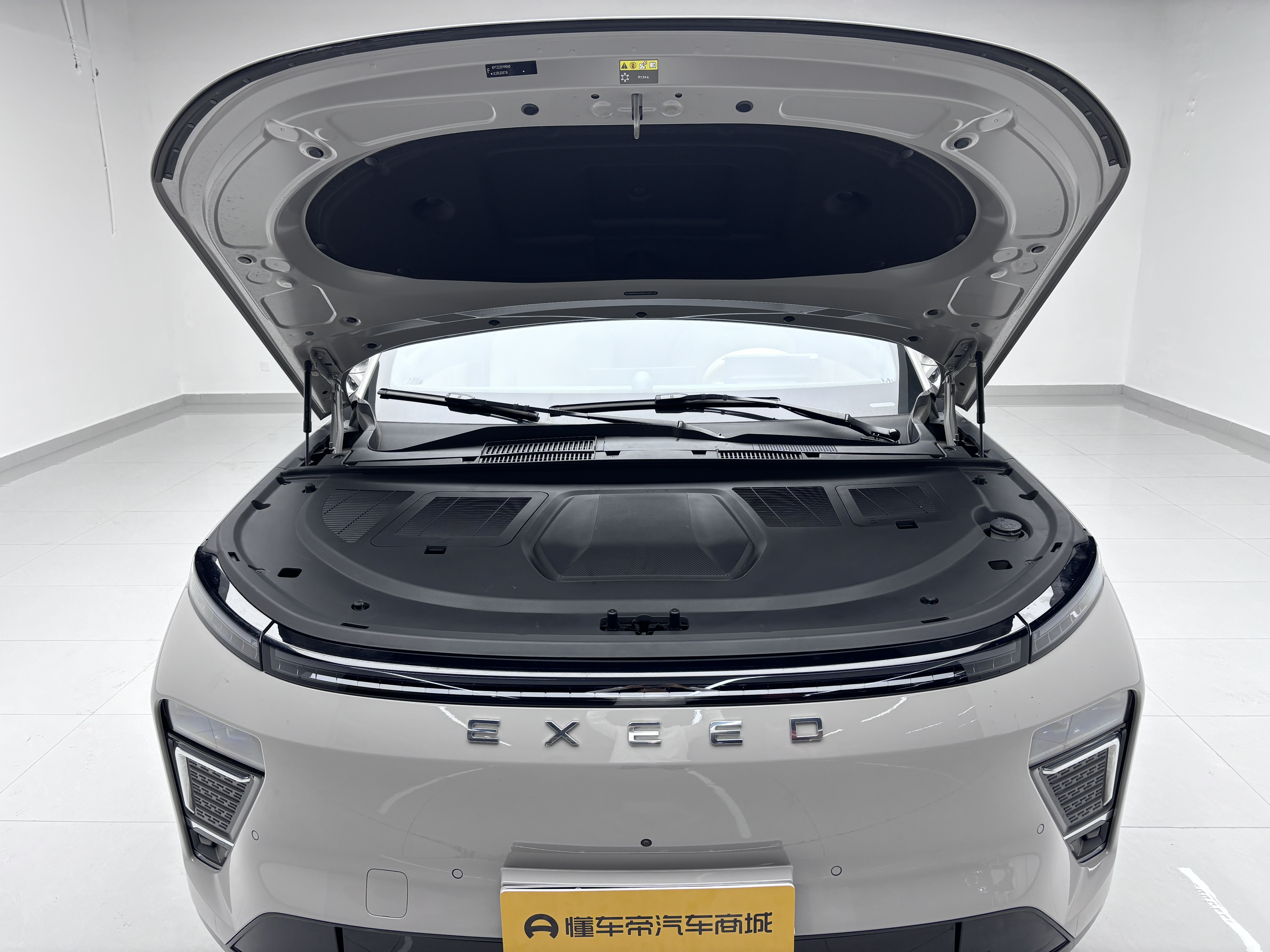 Exceed Stellar Era ET 2024 car image #19