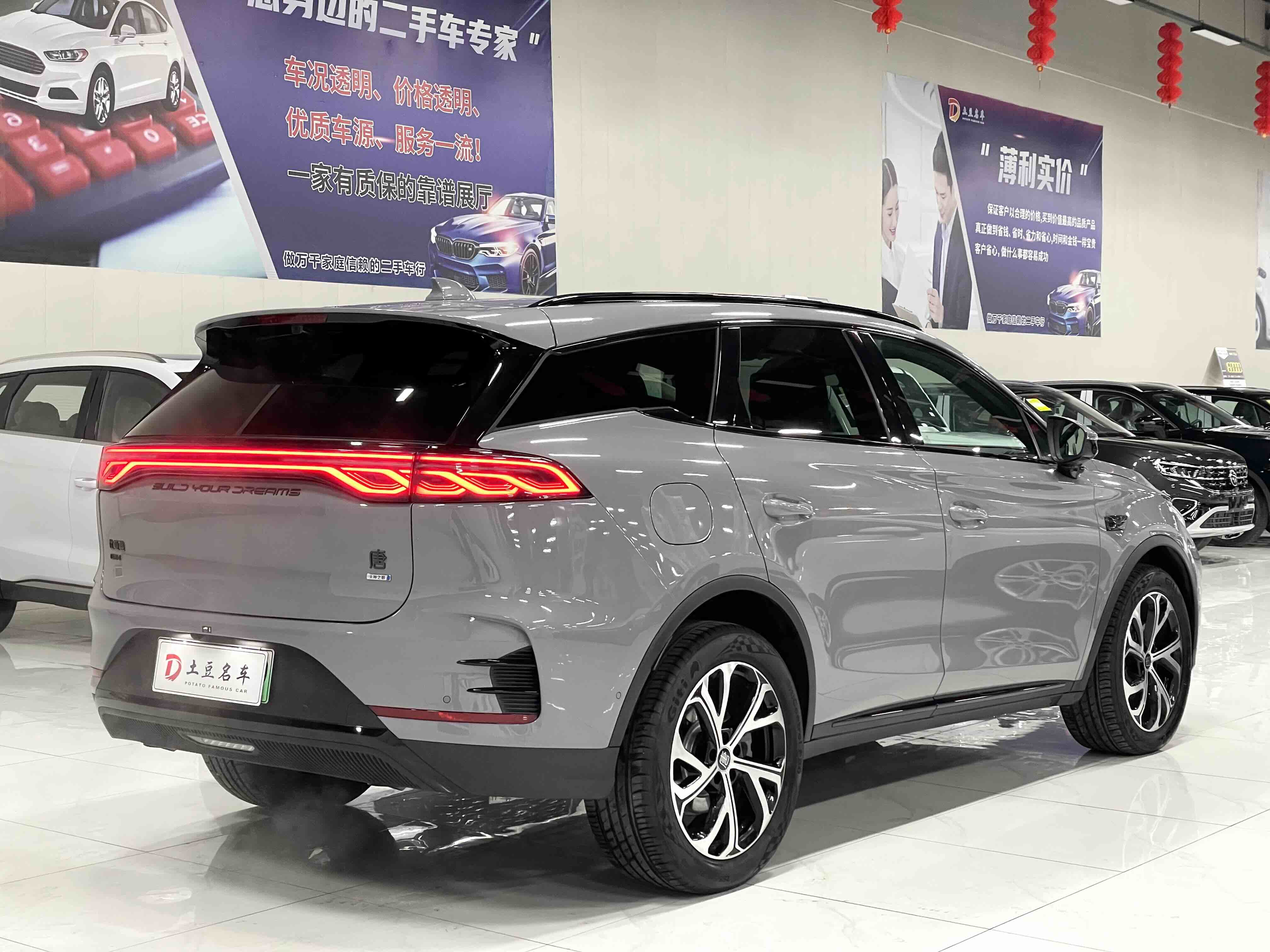 BYD Tang New Energy 2025 car image #19