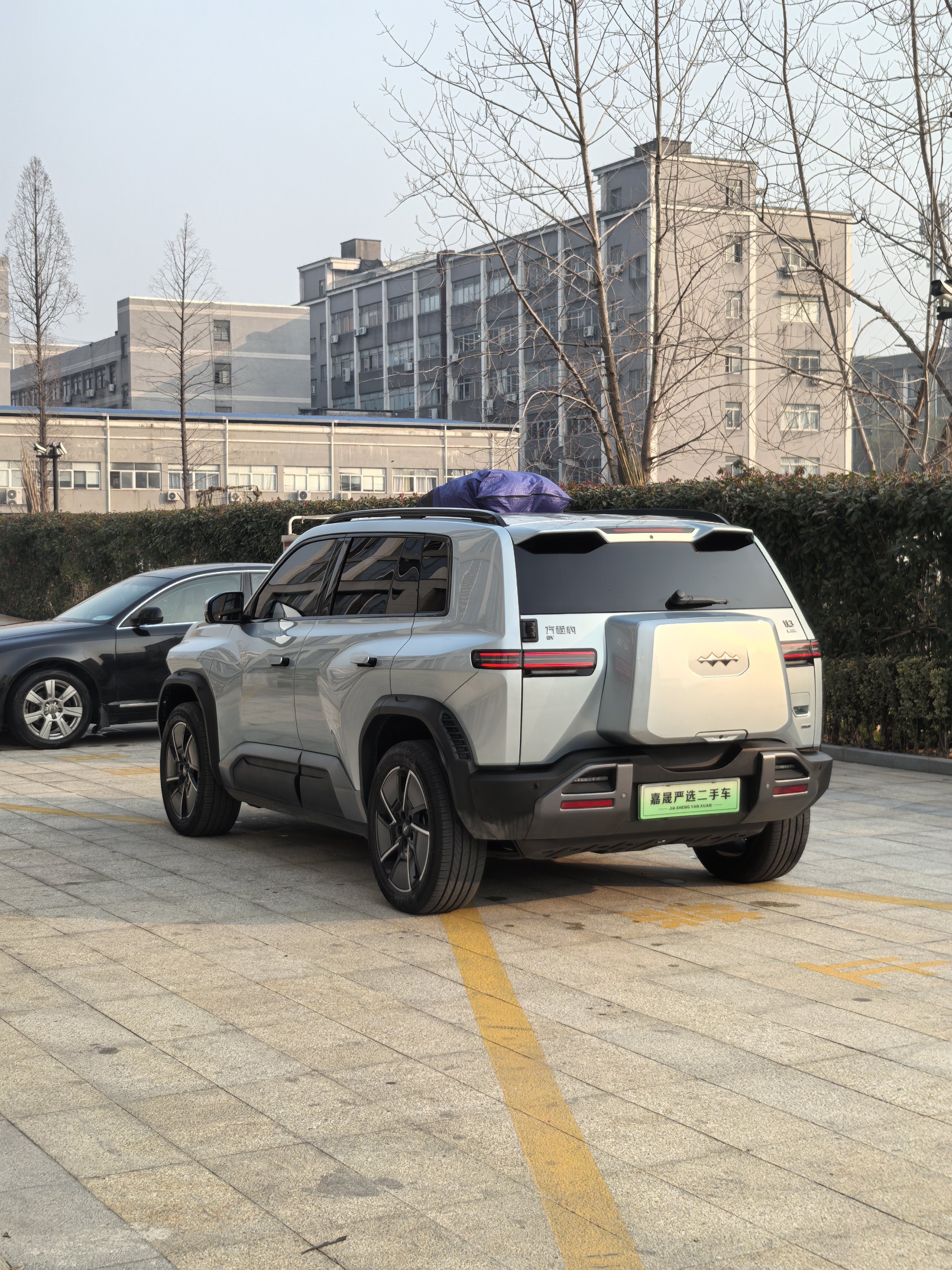 FangChengBao Tiger 3 2025 car image #19