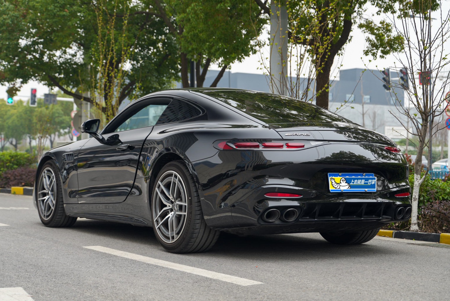 Mercedes-Benz AMG GT 2025 imagen de coche #19