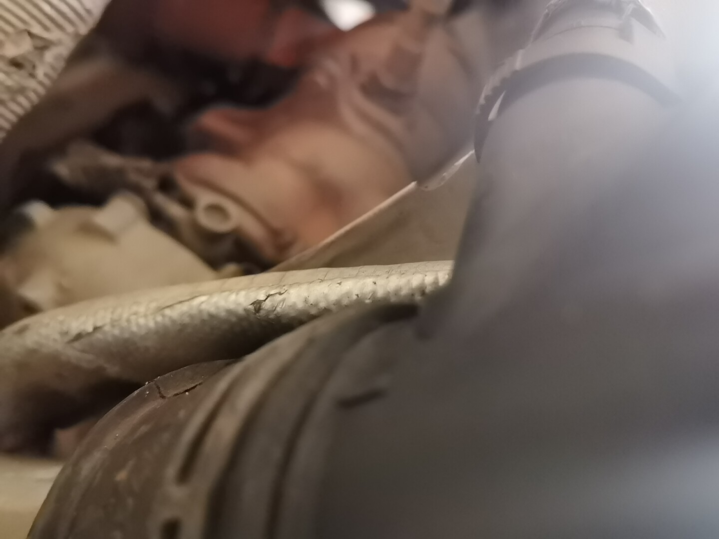 Volkswagen Tiguan 2010 car image #19