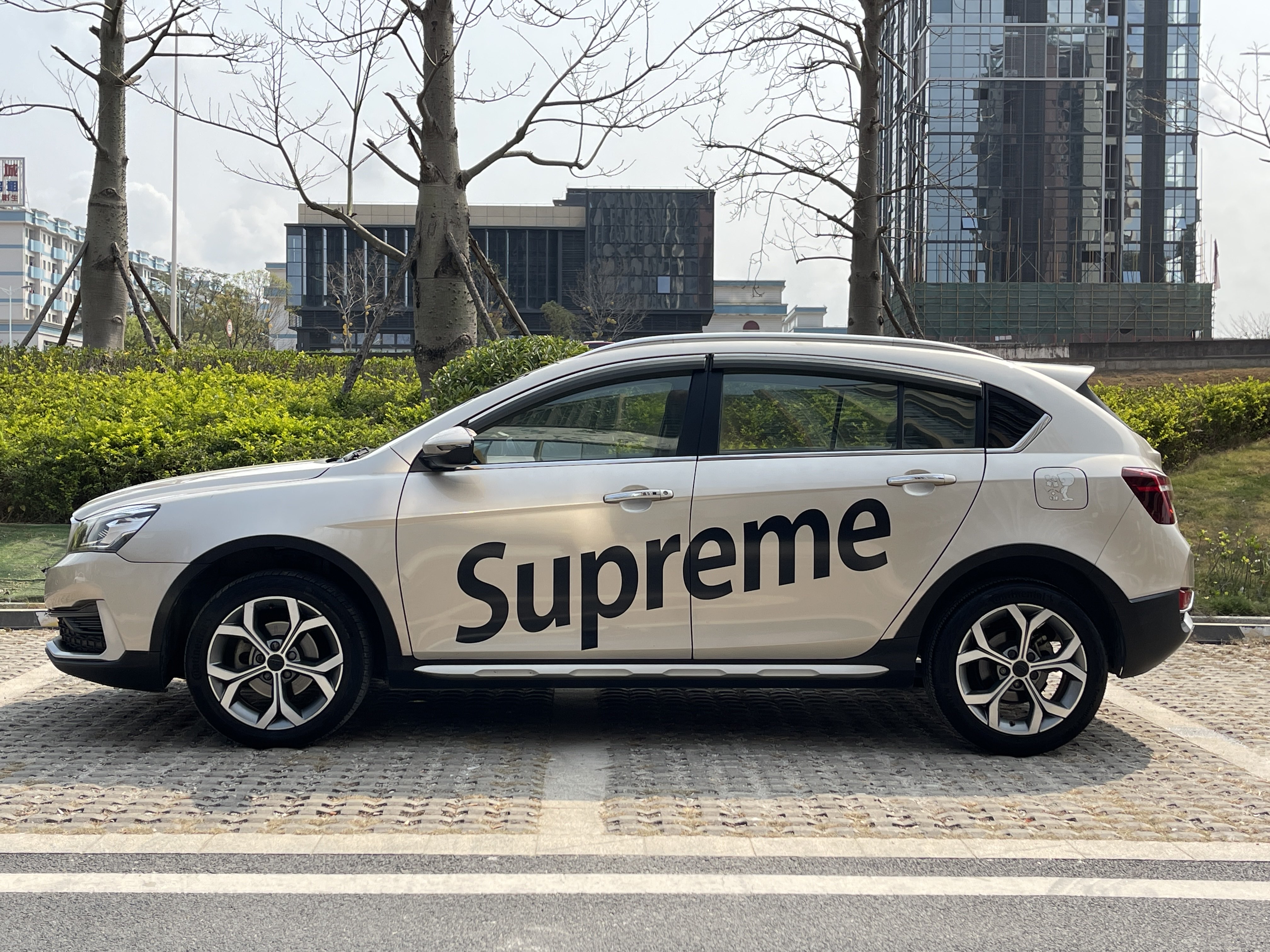 GEELY Vision S1 2018 car image #19