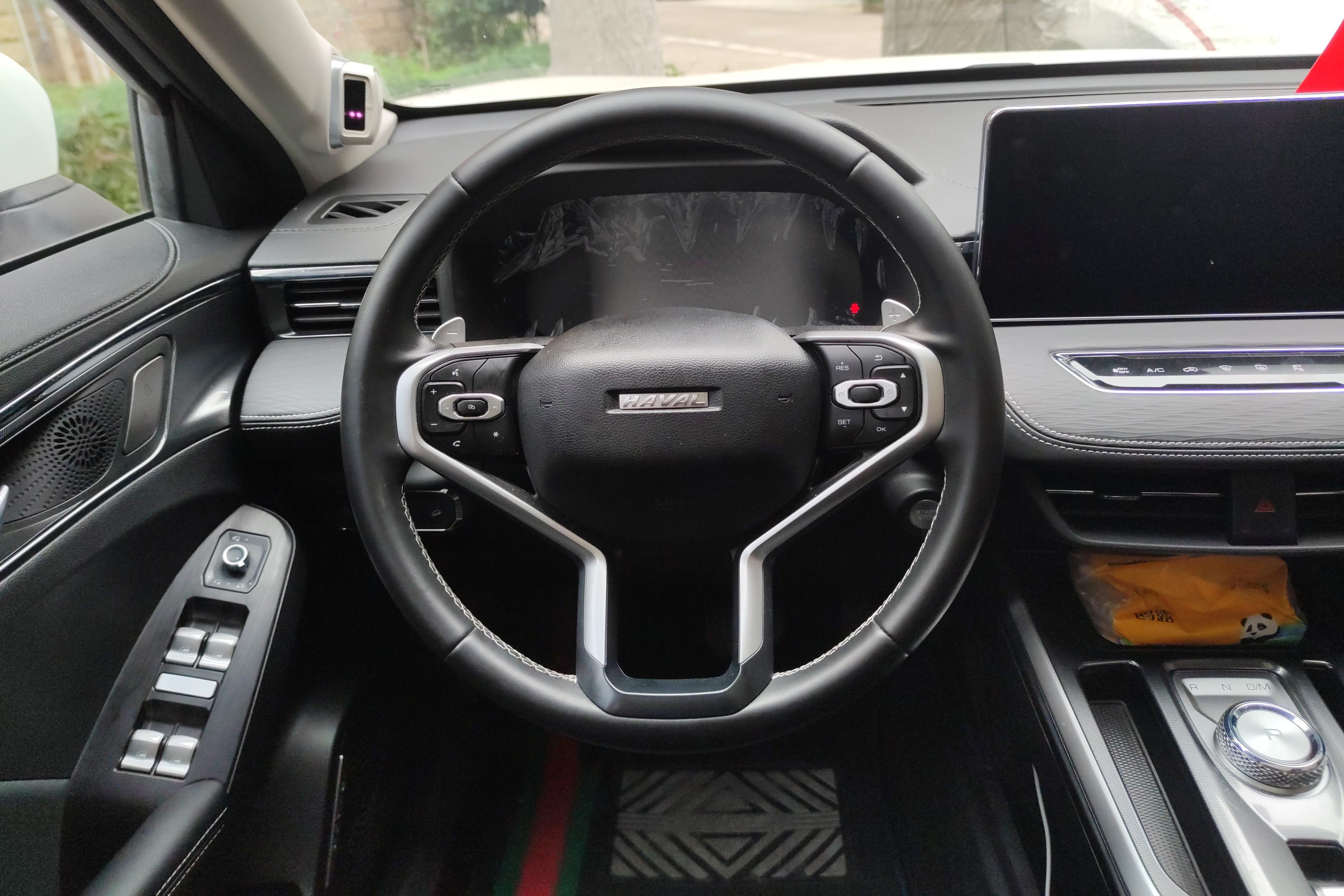 Haval Jolion 2021 car image #19