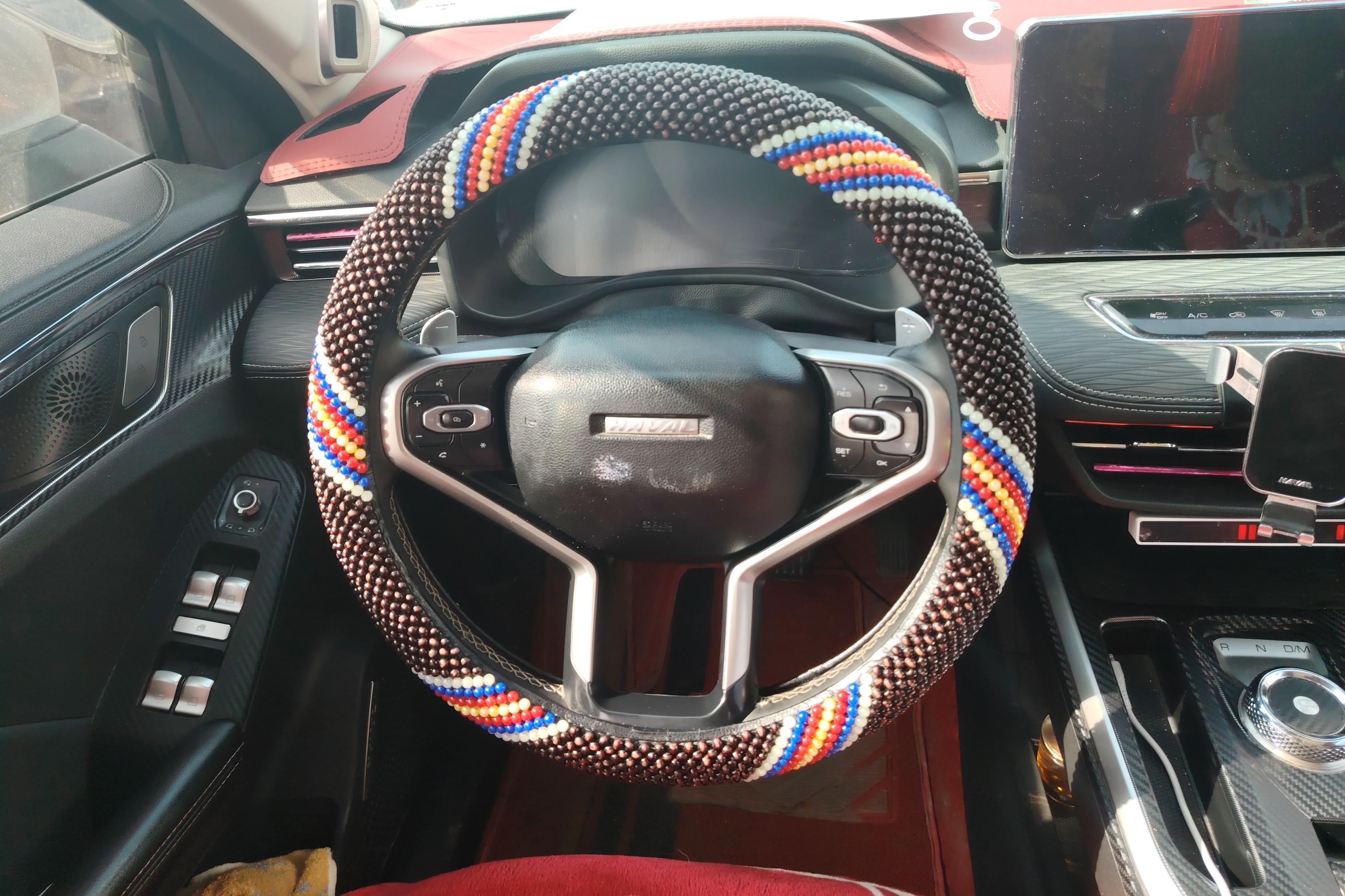 Haval Jolion 2022 car image #19