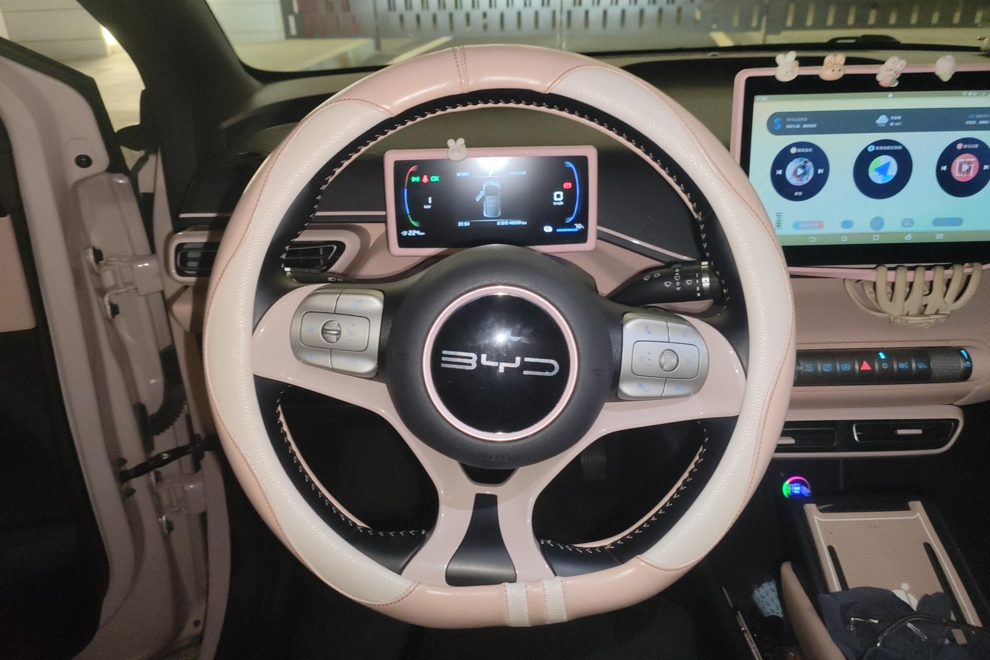 BYD Xia 2023 car image #19