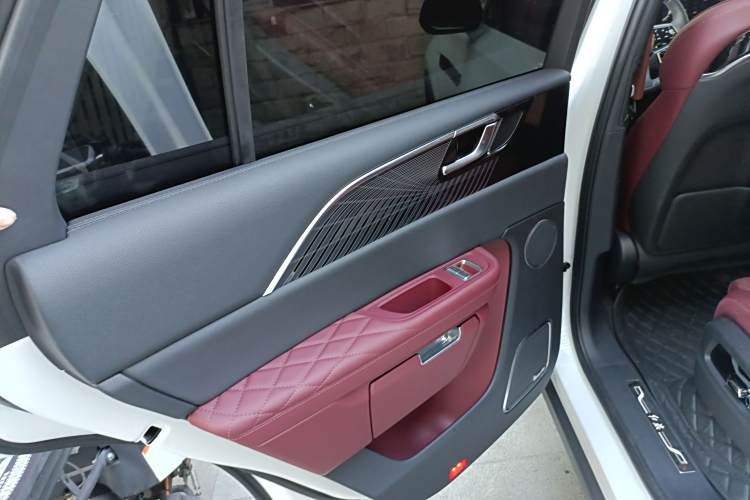 HongQi E-HS9 2023 car image #19