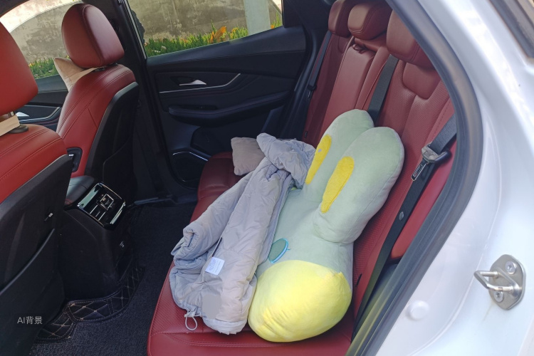 T5 EVO 2021 car image #19
