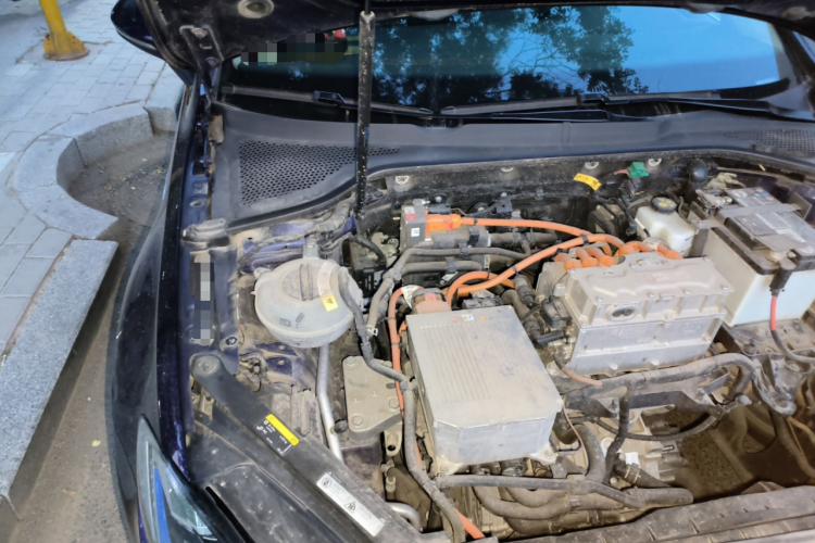 Volkswagen Golf Pure Electric 2020 car image #19