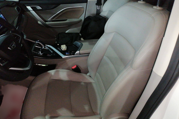 GEELY JiaJi New Energy 2021 car image #19