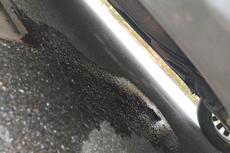 Hyundai Palisade 2022 car image #19