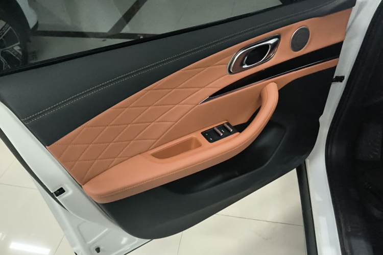 Neta L 2024 imagen de coche #19