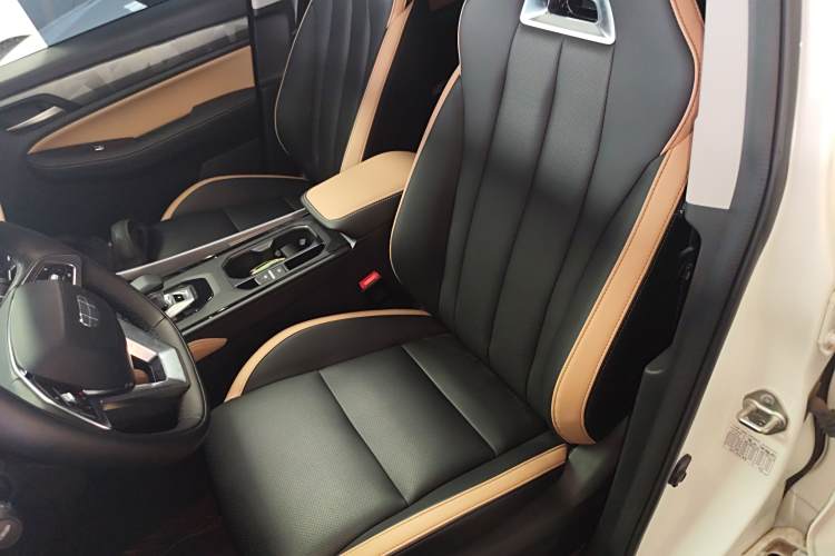 GEELY OkavangoPRO 2024 car image #19