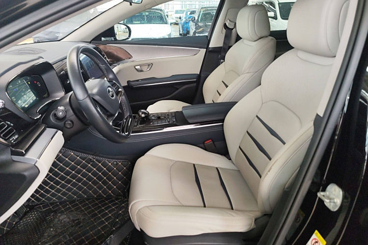 BYD e9 2021 car image #19