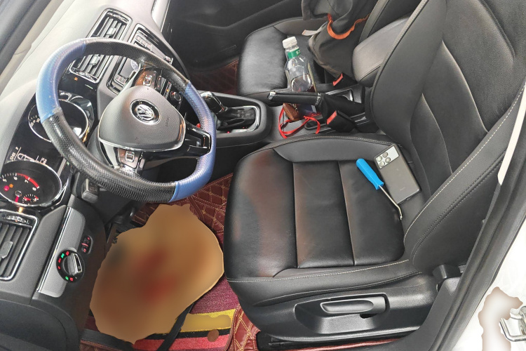 Volkswagen Sagitar 2019 immagine di auto #19