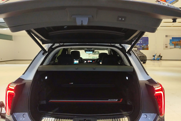 HongQi E-HS9 2022 immagine di auto #19