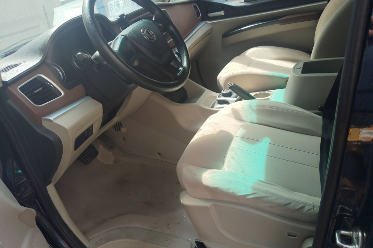 Forthing Lingzhi EV 2020 car image #19