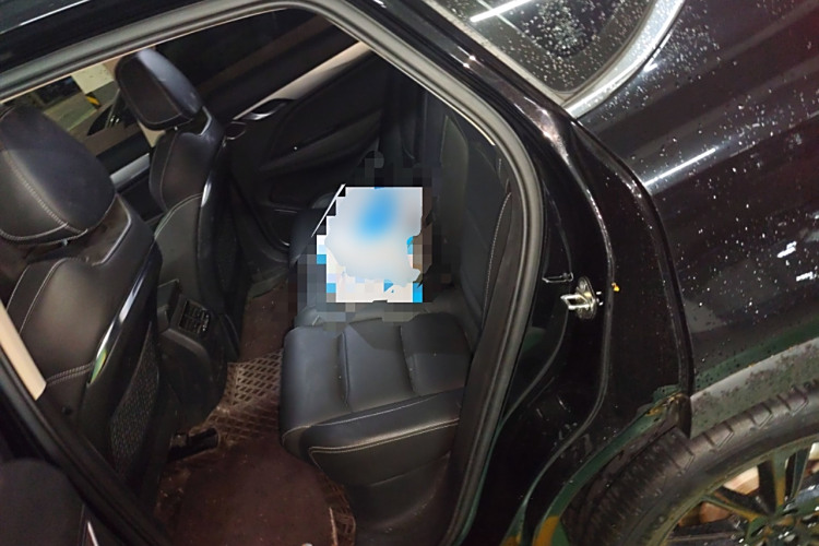 GEELY Tugella New Energy 2021 #19 GEELY Tugella New Energy 2021 car image #19