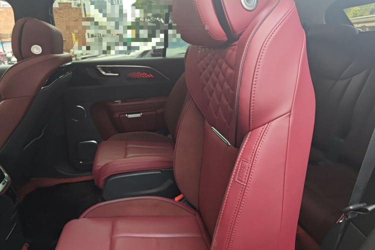 HongQi E-HS9 2022 car image #19