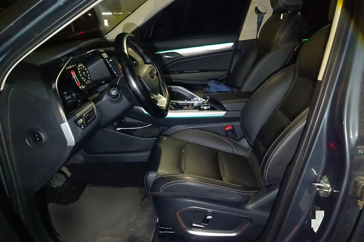 GEELY Tugella New Energy 2019 car image #19