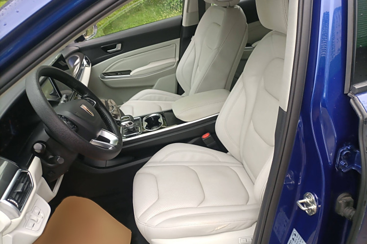 HongQi E-HS3 2019 car image #19